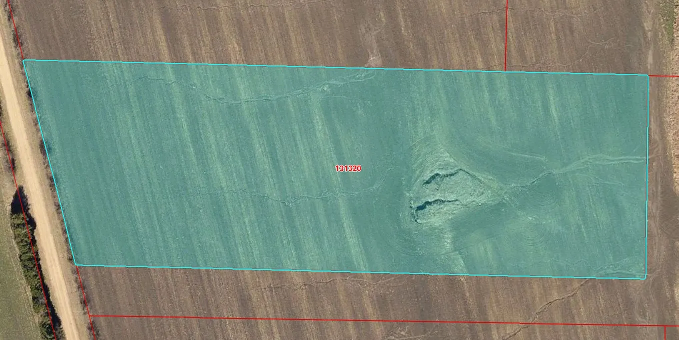 2021 Aerial