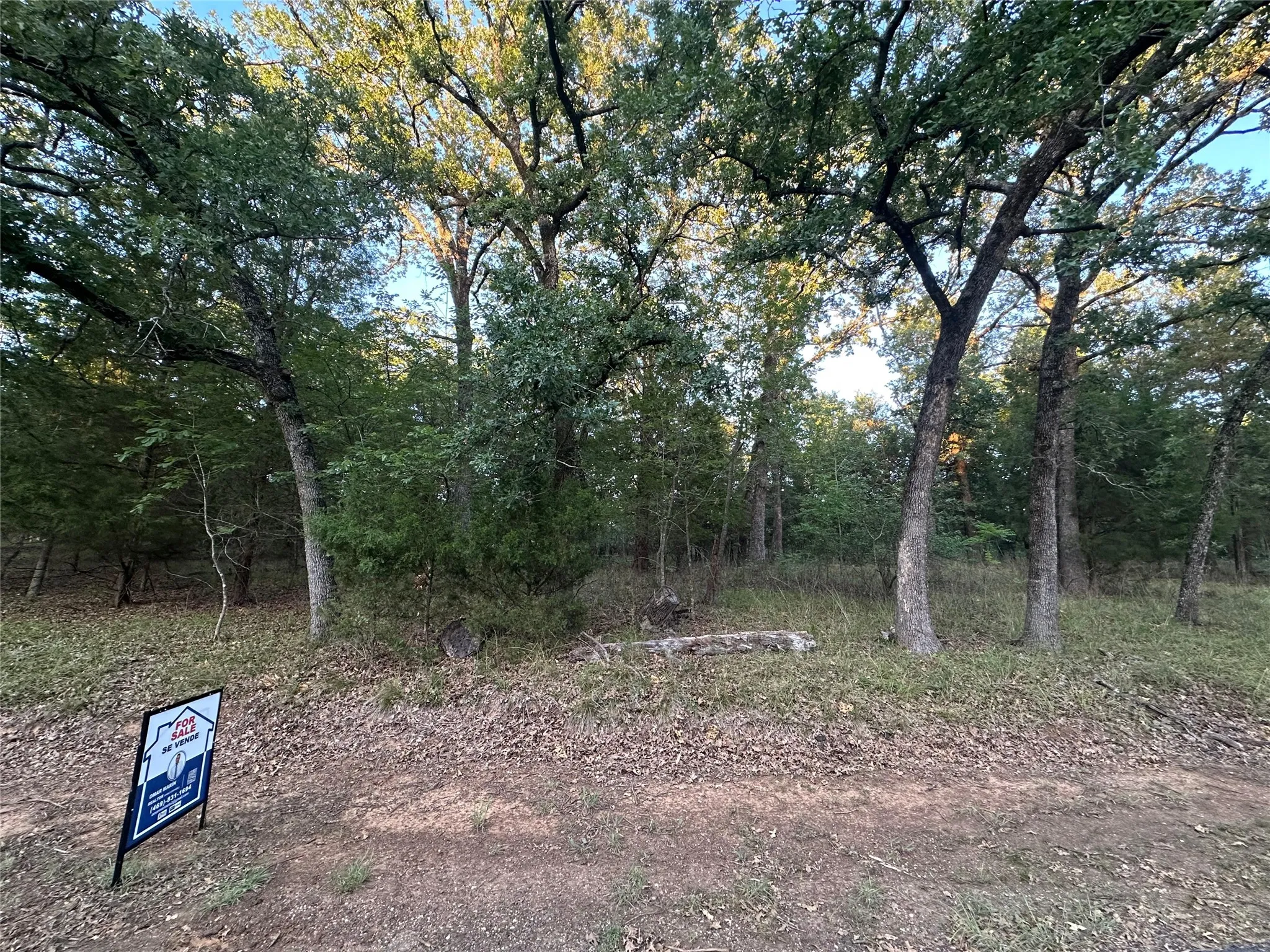 Unimproved Land For Sale in Henderson County , 103 Cedar Oaks Drive, Mabank, Texas 75156, 0, 0, Garage spaces, 0 Sqft, built in 0, mls#21317458, Real Estate Agent in Mabank, Homes For Sale in Henderson county, Homes For Sale in Mabank, Realtor in Mabank Texas, Real Estate Brokerage Independent Realty Texas, Luminita Cordes Realtor