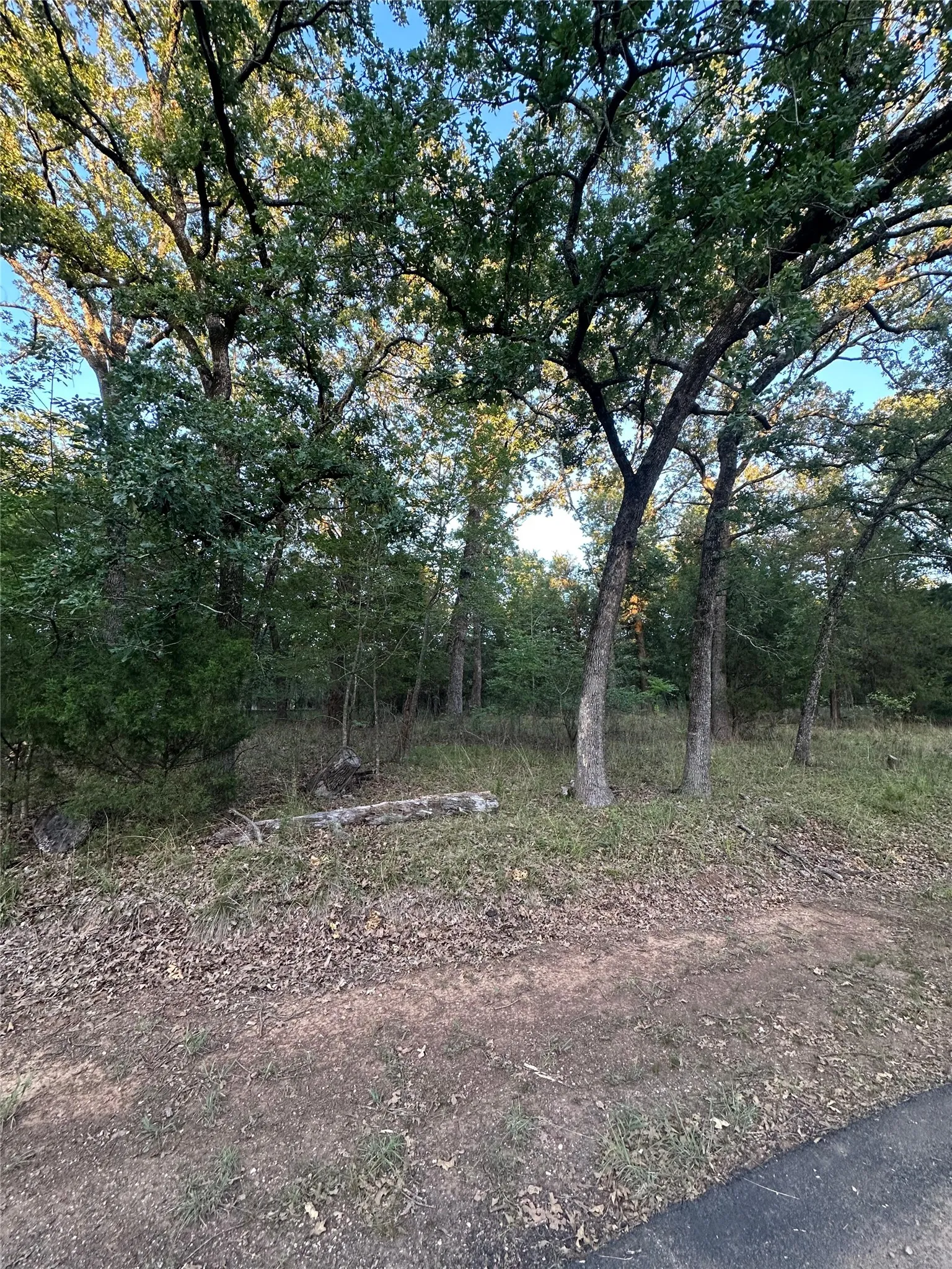 Unimproved Land For Sale in Henderson County , 103 Cedar Oaks Drive, Mabank, Texas 75156, 0, 0, Garage spaces, 0 Sqft, built in 0, mls#21317458, Real Estate Agent in Mabank, Homes For Sale in Henderson county, Homes For Sale in Mabank, Realtor in Mabank Texas, Real Estate Brokerage Independent Realty Texas, Luminita Cordes Realtor