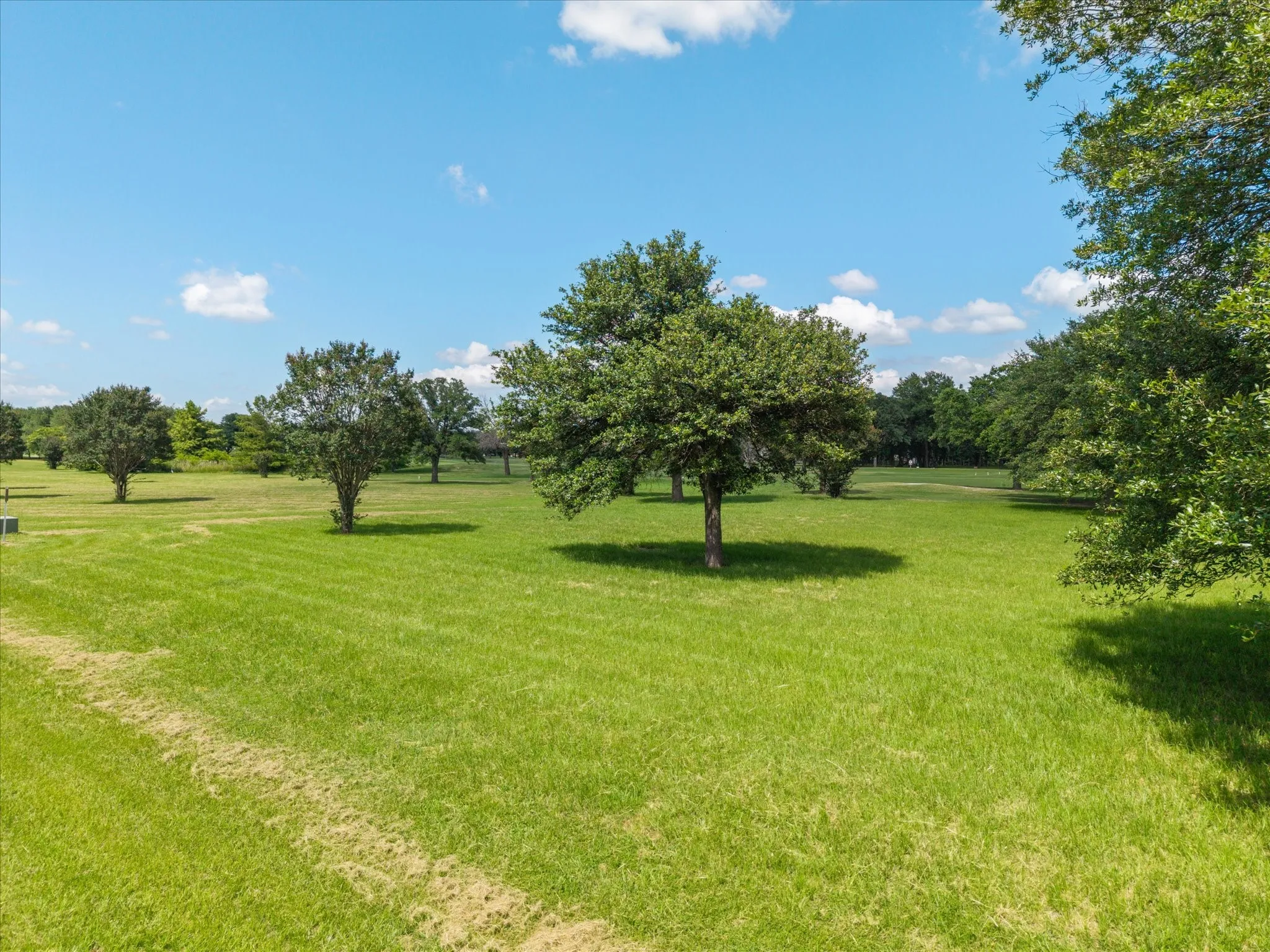 Improved Land For Sale in Wood County , Lot 33 PR 5940, Emory, Texas 75440, 0, 0, Garage spaces, 0 Sqft, built in 0, Price $79,000, mls#21317431, Real Estate Agent in Emory, Homes For Sale in Wood county, Homes For Sale in Emory, Realtor in Emory Texas, Real Estate Brokerage Independent Realty Texas, Luminita Cordes Realtor