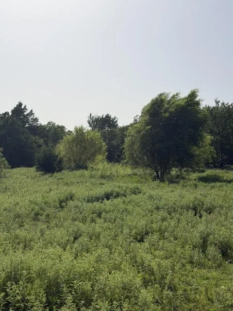 Single Family Residence For Sale in Wise County , 387 Private Road 1452, Chico, Texas 76431, 5 Bedroom, 3 Bathroom, Garage spaces, 3,000 Sqft, built in 2017, mls#21317494, Real Estate Agent in Chico, Homes For Sale in Wise county, Homes For Sale in Chico, Realtor in Chico Texas, Real Estate Brokerage Independent Realty Texas, Luminita Cordes Realtor