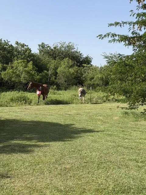 Single Family Residence For Sale in Wise County , 387 Private Road 1452, Chico, Texas 76431, 5 Bedroom, 3 Bathroom, Garage spaces, 3,000 Sqft, built in 2017, mls#21317494, Real Estate Agent in Chico, Homes For Sale in Wise county, Homes For Sale in Chico, Realtor in Chico Texas, Real Estate Brokerage Independent Realty Texas, Luminita Cordes Realtor