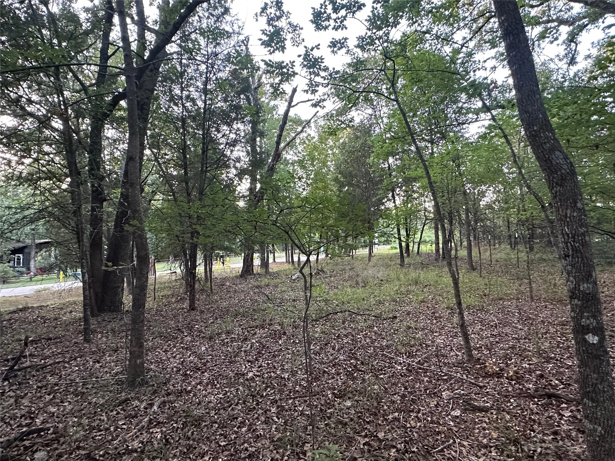 Unimproved Land For Sale in Henderson County , 105 Cedar Oaks Drive, Mabank, Texas 75156, 0, 0, Garage spaces, 0 Sqft, built in 0, mls#21317515, Real Estate Agent in Mabank, Homes For Sale in Henderson county, Homes For Sale in Mabank, Realtor in Mabank Texas, Real Estate Brokerage Independent Realty Texas, Luminita Cordes Realtor