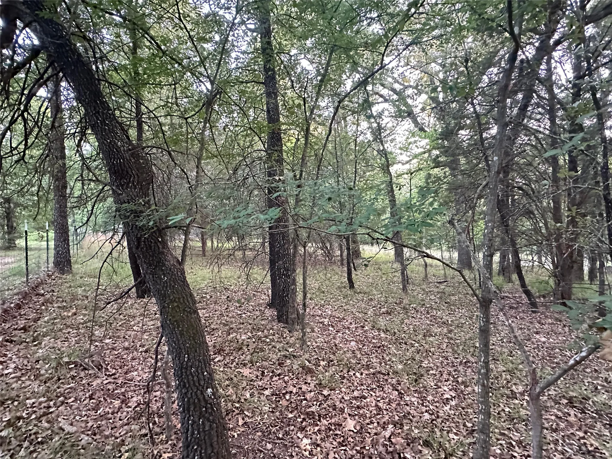 Unimproved Land For Sale in Henderson County , 105 Cedar Oaks Drive, Mabank, Texas 75156, 0, 0, Garage spaces, 0 Sqft, built in 0, mls#21317515, Real Estate Agent in Mabank, Homes For Sale in Henderson county, Homes For Sale in Mabank, Realtor in Mabank Texas, Real Estate Brokerage Independent Realty Texas, Luminita Cordes Realtor