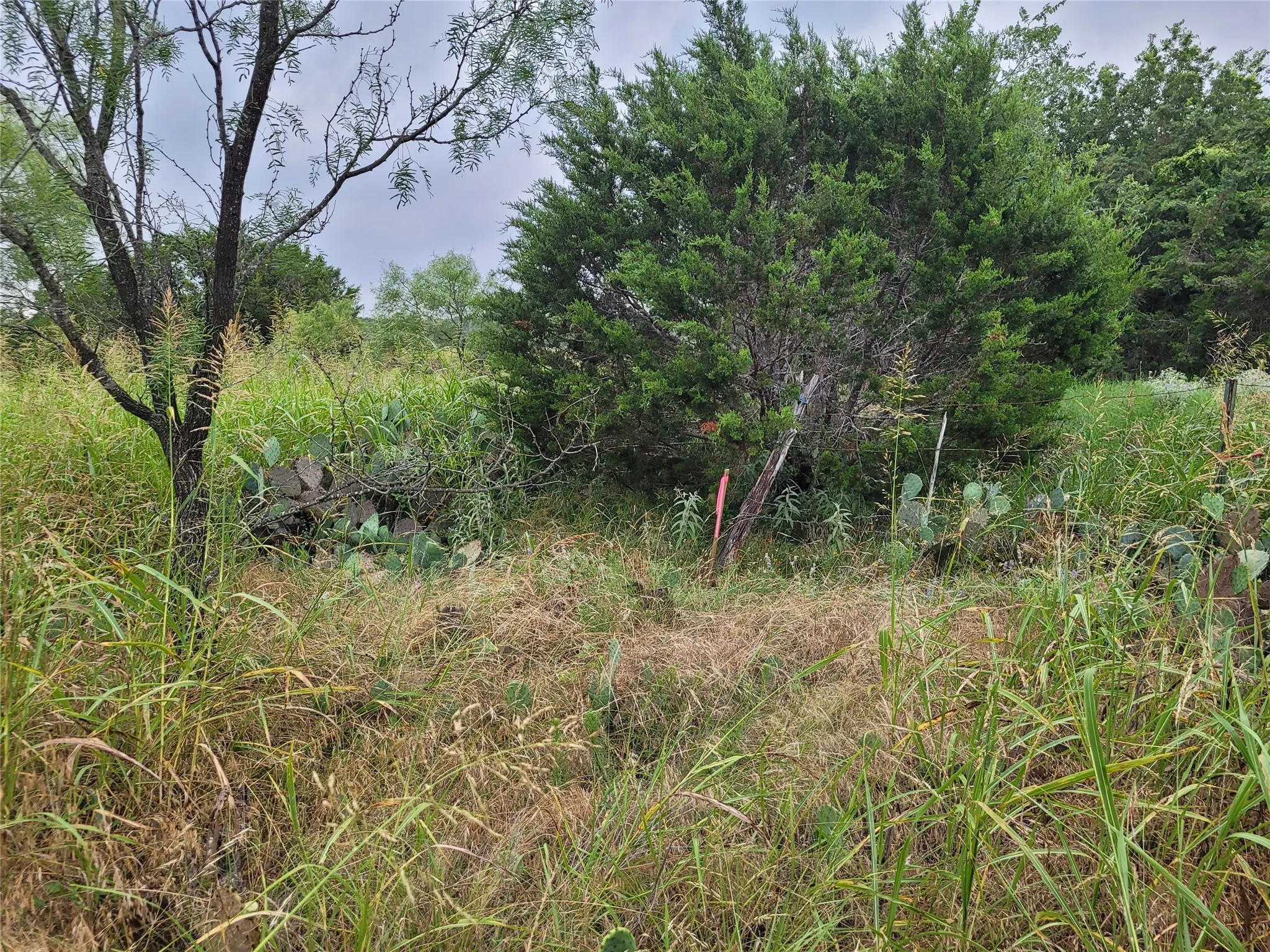 Ranch For Sale in Lampasas County , 9680 US HWY 190 E, Lampasas, Texas 76550, 0, 0, Garage spaces, 0 Sqft, built in 0, mls#21317211, Real Estate Agent in Lampasas, Homes For Sale in Lampasas county, Homes For Sale in Lampasas, Realtor in Lampasas Texas, Real Estate Brokerage Independent Realty Texas, Luminita Cordes Realtor