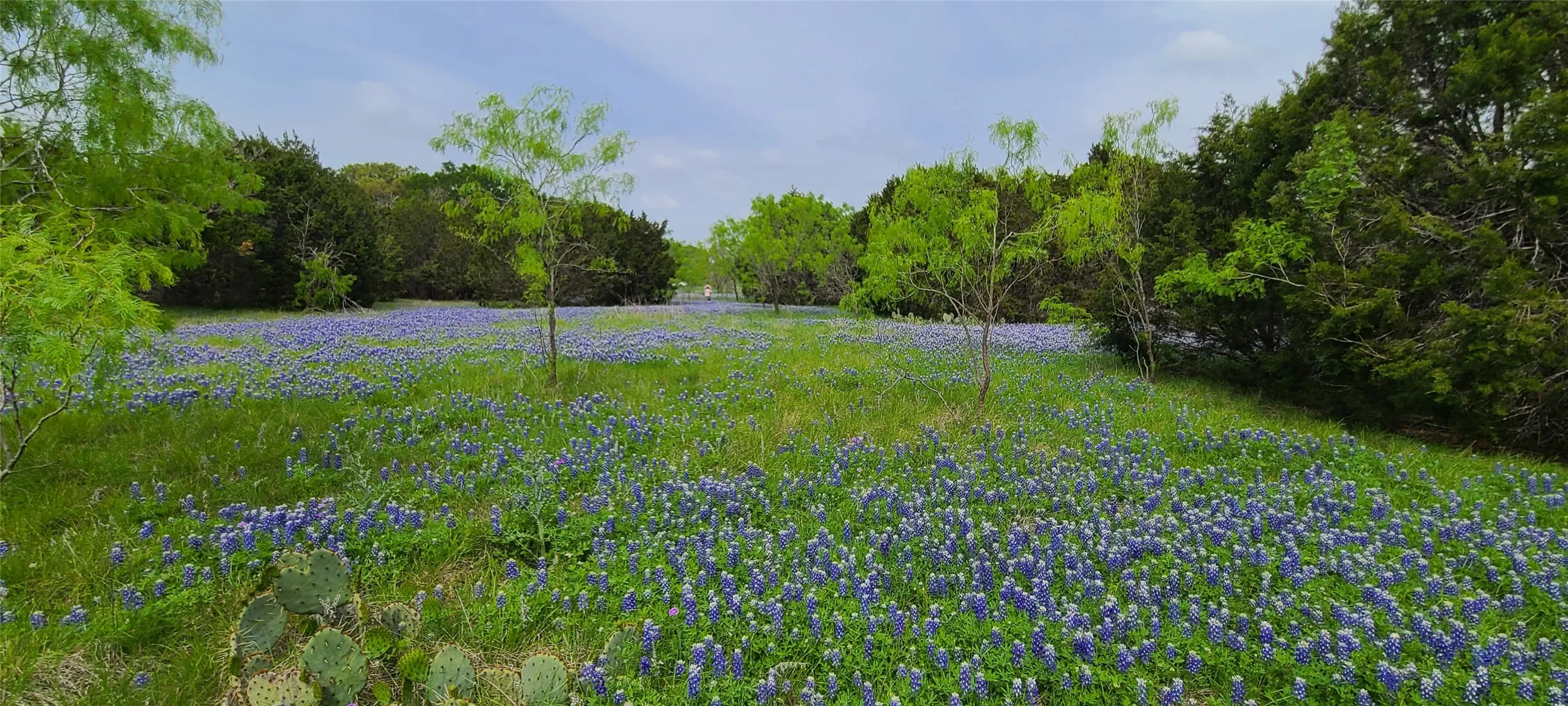 Ranch For Sale in Lampasas County , 9680 US HWY 190 E, Lampasas, Texas 76550, 0, 0, Garage spaces, 0 Sqft, built in 0, mls#21317211, Real Estate Agent in Lampasas, Homes For Sale in Lampasas county, Homes For Sale in Lampasas, Realtor in Lampasas Texas, Real Estate Brokerage Independent Realty Texas, Luminita Cordes Realtor
