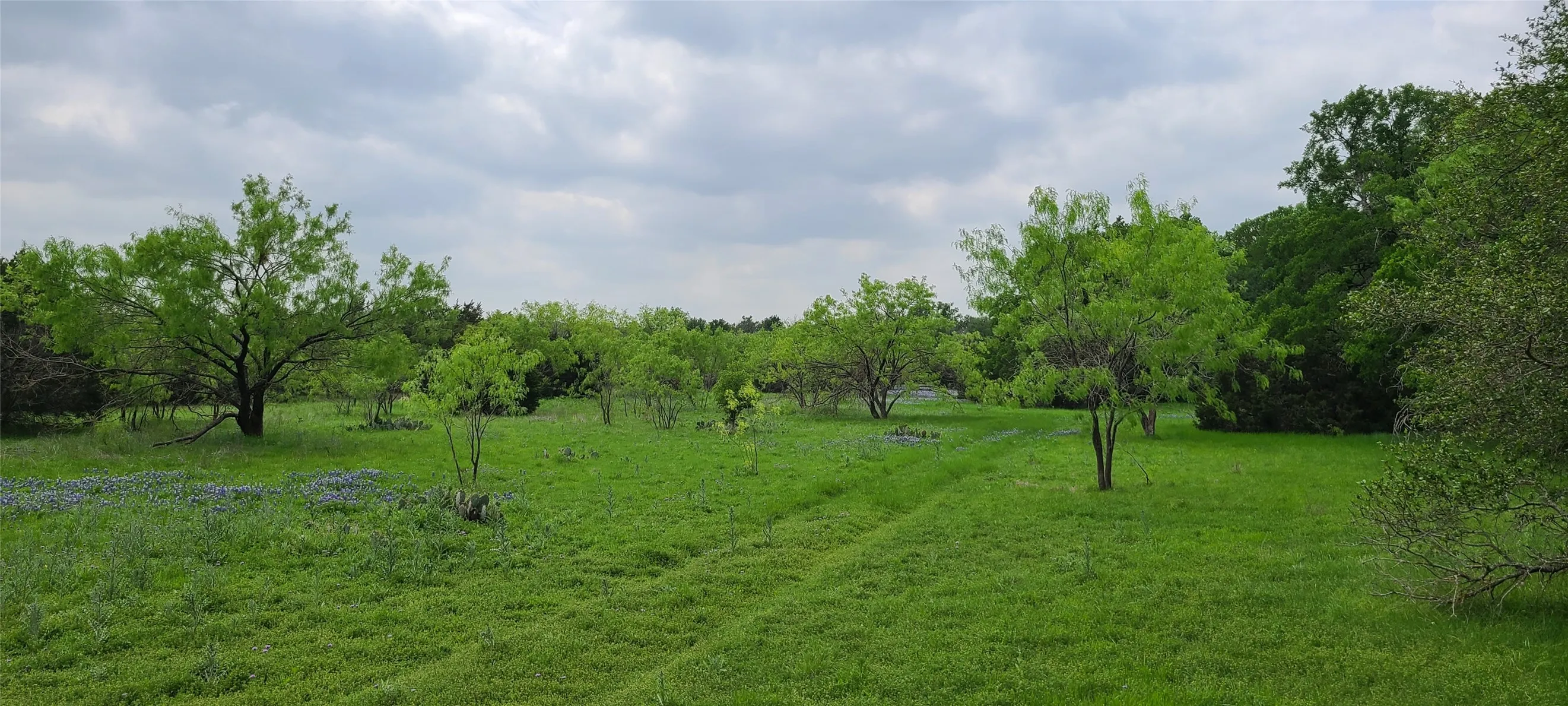 Ranch For Sale in Lampasas County , 9680 US HWY 190 E, Lampasas, Texas 76550, 0, 0, Garage spaces, 0 Sqft, built in 0, mls#21317211, Real Estate Agent in Lampasas, Homes For Sale in Lampasas county, Homes For Sale in Lampasas, Realtor in Lampasas Texas, Real Estate Brokerage Independent Realty Texas, Luminita Cordes Realtor