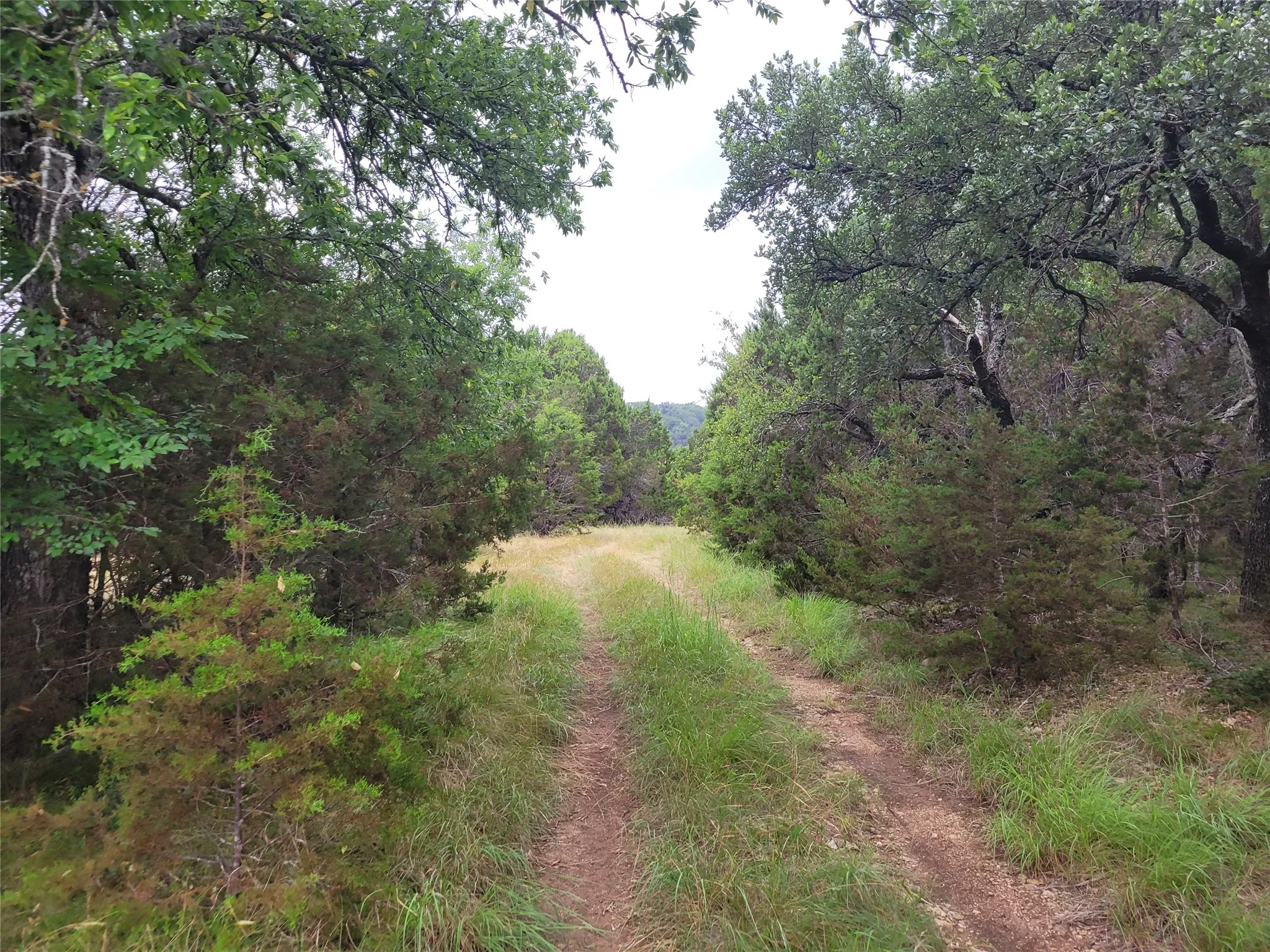 Ranch For Sale in Lampasas County , 9680 US HWY 190 E, Lampasas, Texas 76550, 0, 0, Garage spaces, 0 Sqft, built in 0, mls#21317211, Real Estate Agent in Lampasas, Homes For Sale in Lampasas county, Homes For Sale in Lampasas, Realtor in Lampasas Texas, Real Estate Brokerage Independent Realty Texas, Luminita Cordes Realtor