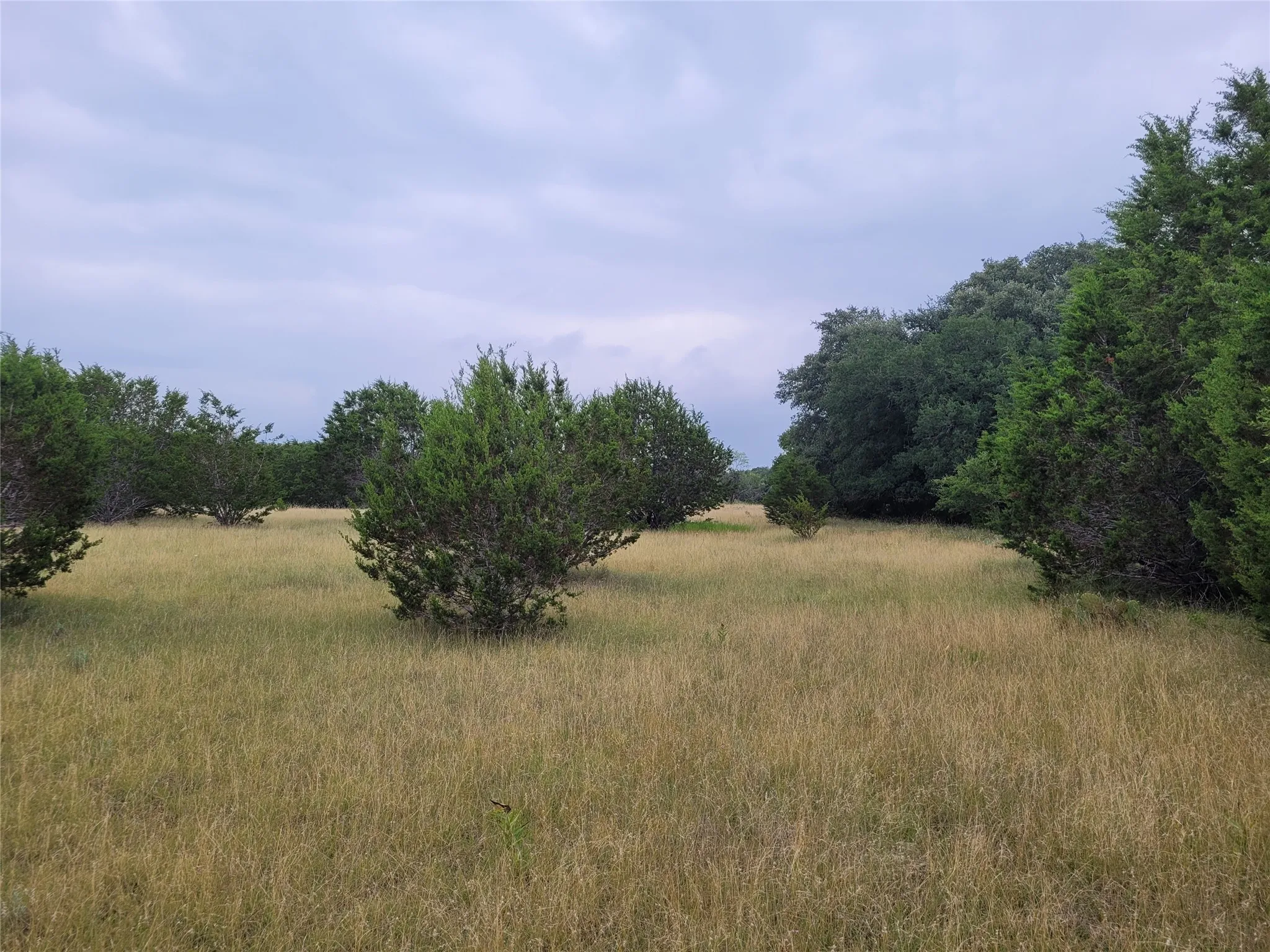 Ranch For Sale in Lampasas County , 9680 US HWY 190 E, Lampasas, Texas 76550, 0, 0, Garage spaces, 0 Sqft, built in 0, mls#21317211, Real Estate Agent in Lampasas, Homes For Sale in Lampasas county, Homes For Sale in Lampasas, Realtor in Lampasas Texas, Real Estate Brokerage Independent Realty Texas, Luminita Cordes Realtor