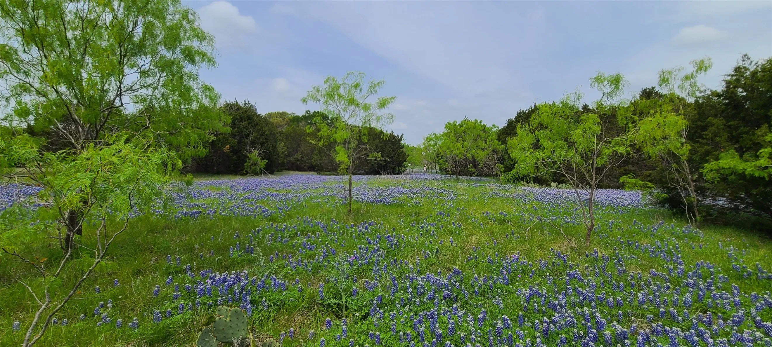 Ranch For Sale in Lampasas County , 9680 US HWY 190 E, Lampasas, Texas 76550, 0, 0, Garage spaces, 0 Sqft, built in 0, mls#21317211, Real Estate Agent in Lampasas, Homes For Sale in Lampasas county, Homes For Sale in Lampasas, Realtor in Lampasas Texas, Real Estate Brokerage Independent Realty Texas, Luminita Cordes Realtor