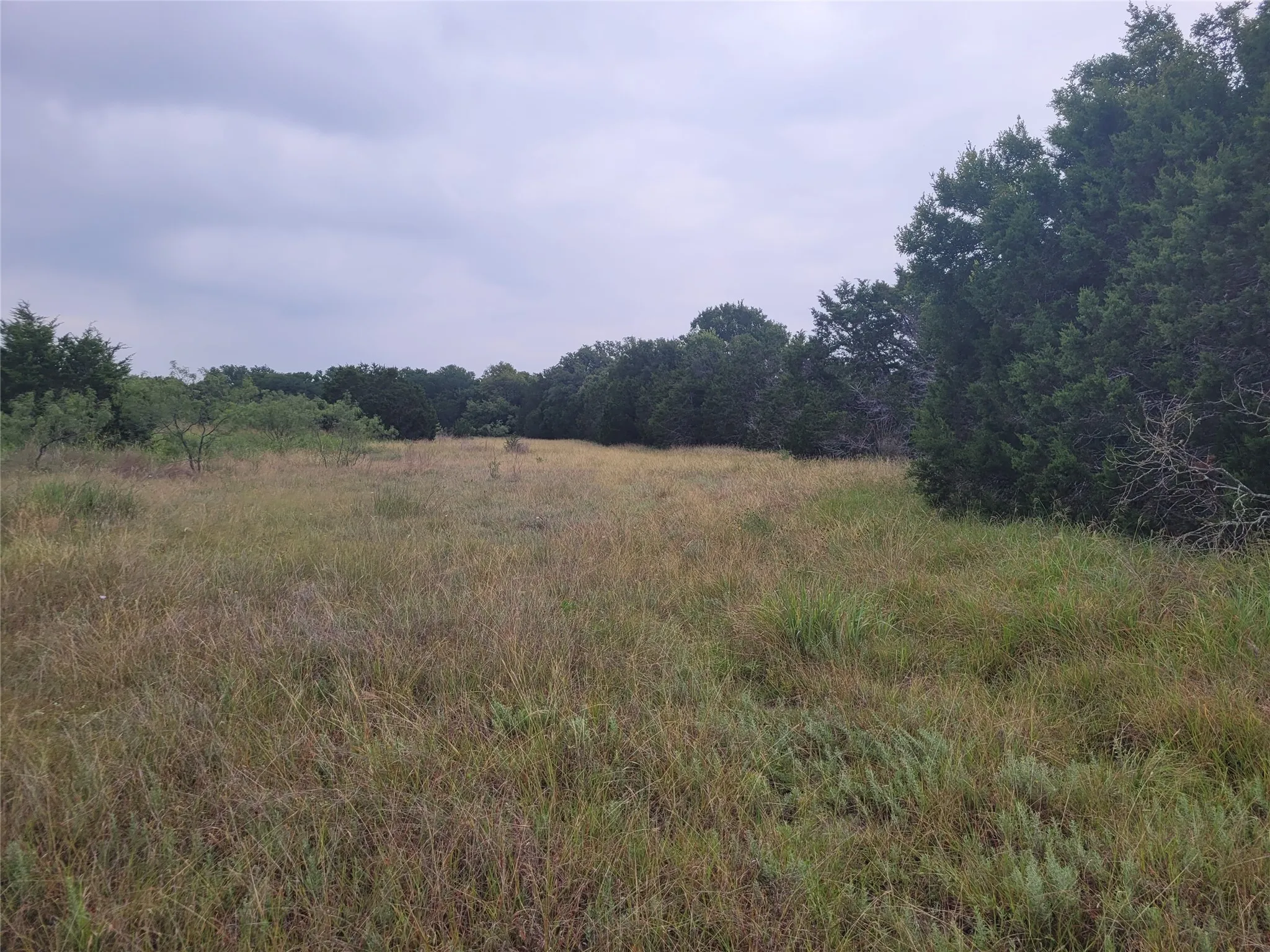 Ranch For Sale in Lampasas County , 9680 US HWY 190 E, Lampasas, Texas 76550, 0, 0, Garage spaces, 0 Sqft, built in 0, mls#21317211, Real Estate Agent in Lampasas, Homes For Sale in Lampasas county, Homes For Sale in Lampasas, Realtor in Lampasas Texas, Real Estate Brokerage Independent Realty Texas, Luminita Cordes Realtor
