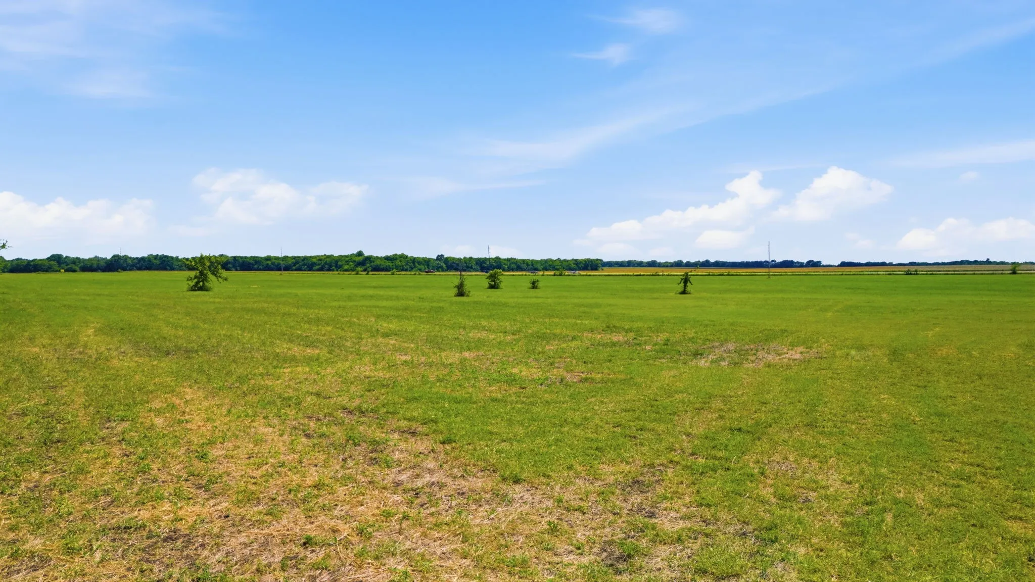 Improved Land For Sale in Fannin County , TBD Hwy 69, Whitewright, Texas 75491, 0, 0, Garage spaces, 0 Sqft, built in 0, mls#21306023, Real Estate Agent in Whitewright, Homes For Sale in Fannin county, Homes For Sale in Whitewright, Realtor in Whitewright Texas, Real Estate Brokerage Independent Realty Texas, Luminita Cordes Realtor