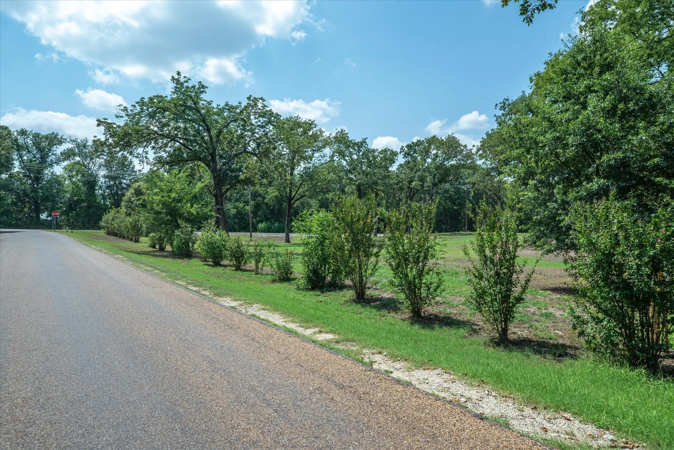 Unimproved Land For Sale in Van Zandt County , 11885 FM 859, Wills Point, Texas 75169, 0, 0, Garage spaces, 0 Sqft, built in 0, Price $99,000, mls#21317647, Real Estate Agent in Wills Point, Homes For Sale in Van Zandt county, Homes For Sale in Wills Point, Realtor in Wills Point Texas, Real Estate Brokerage Independent Realty Texas, Luminita Cordes Realtor