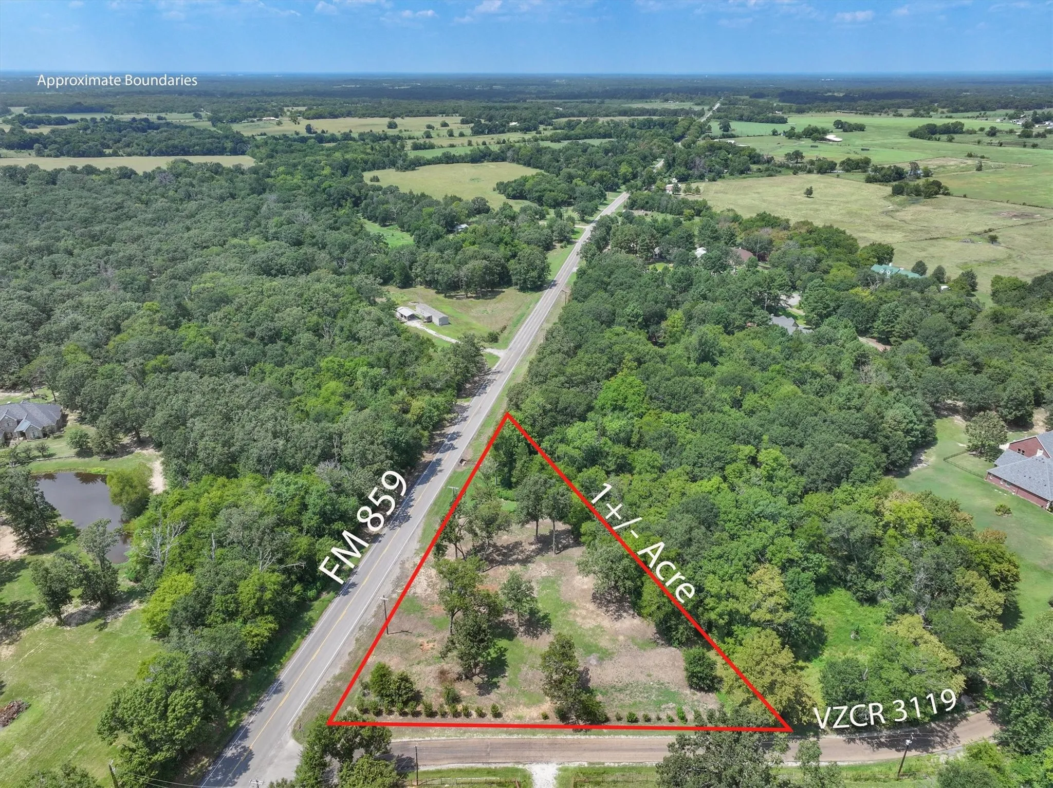 Unimproved Land For Sale in Van Zandt County , 11885 FM 859, Wills Point, Texas 75169, 0, 0, Garage spaces, 0 Sqft, built in 0, Price $99,000, mls#21317647, Real Estate Agent in Wills Point, Homes For Sale in Van Zandt county, Homes For Sale in Wills Point, Realtor in Wills Point Texas, Real Estate Brokerage Independent Realty Texas, Luminita Cordes Realtor