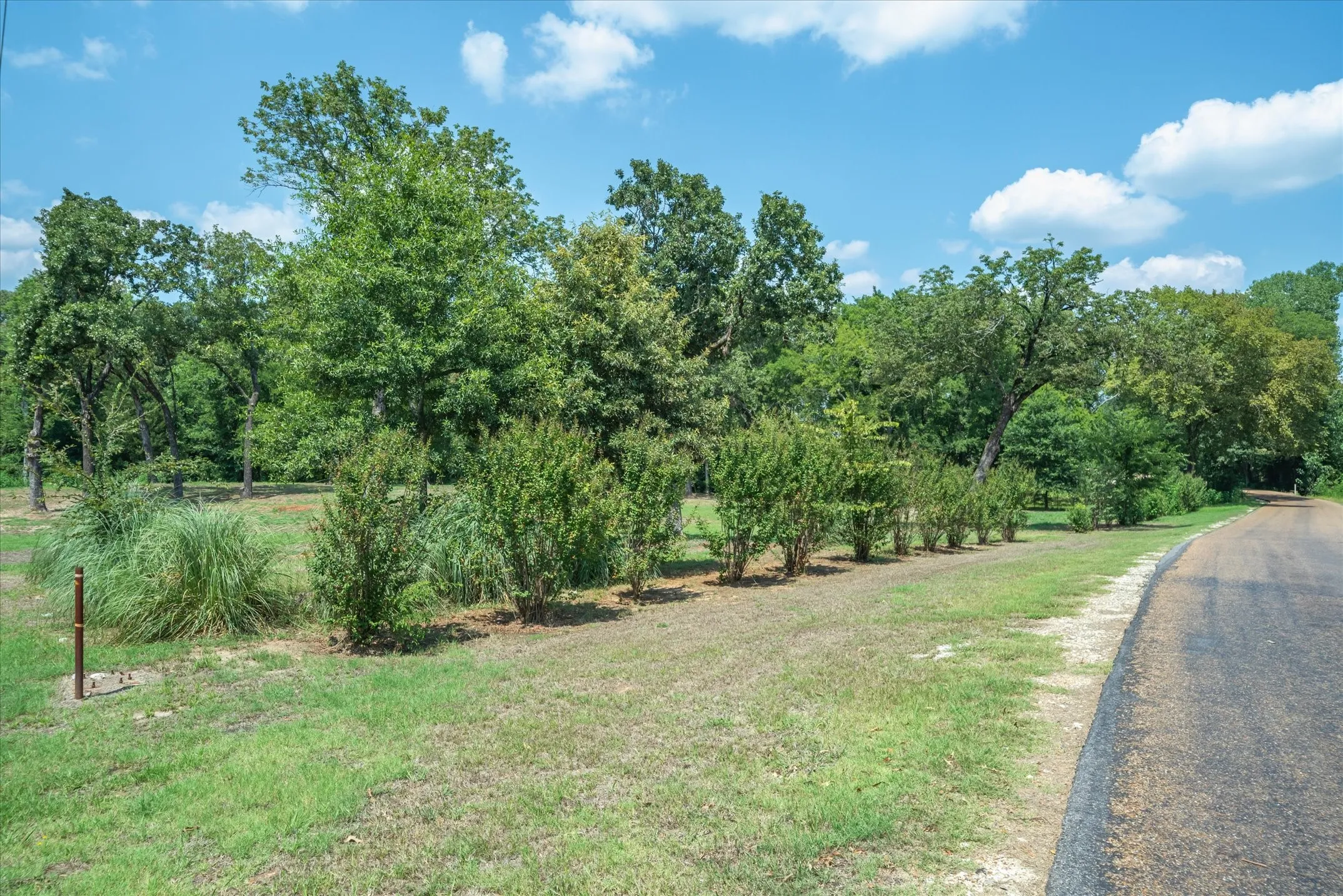 Unimproved Land For Sale in Van Zandt County , 11885 FM 859, Wills Point, Texas 75169, 0, 0, Garage spaces, 0 Sqft, built in 0, Price $99,000, mls#21317647, Real Estate Agent in Wills Point, Homes For Sale in Van Zandt county, Homes For Sale in Wills Point, Realtor in Wills Point Texas, Real Estate Brokerage Independent Realty Texas, Luminita Cordes Realtor