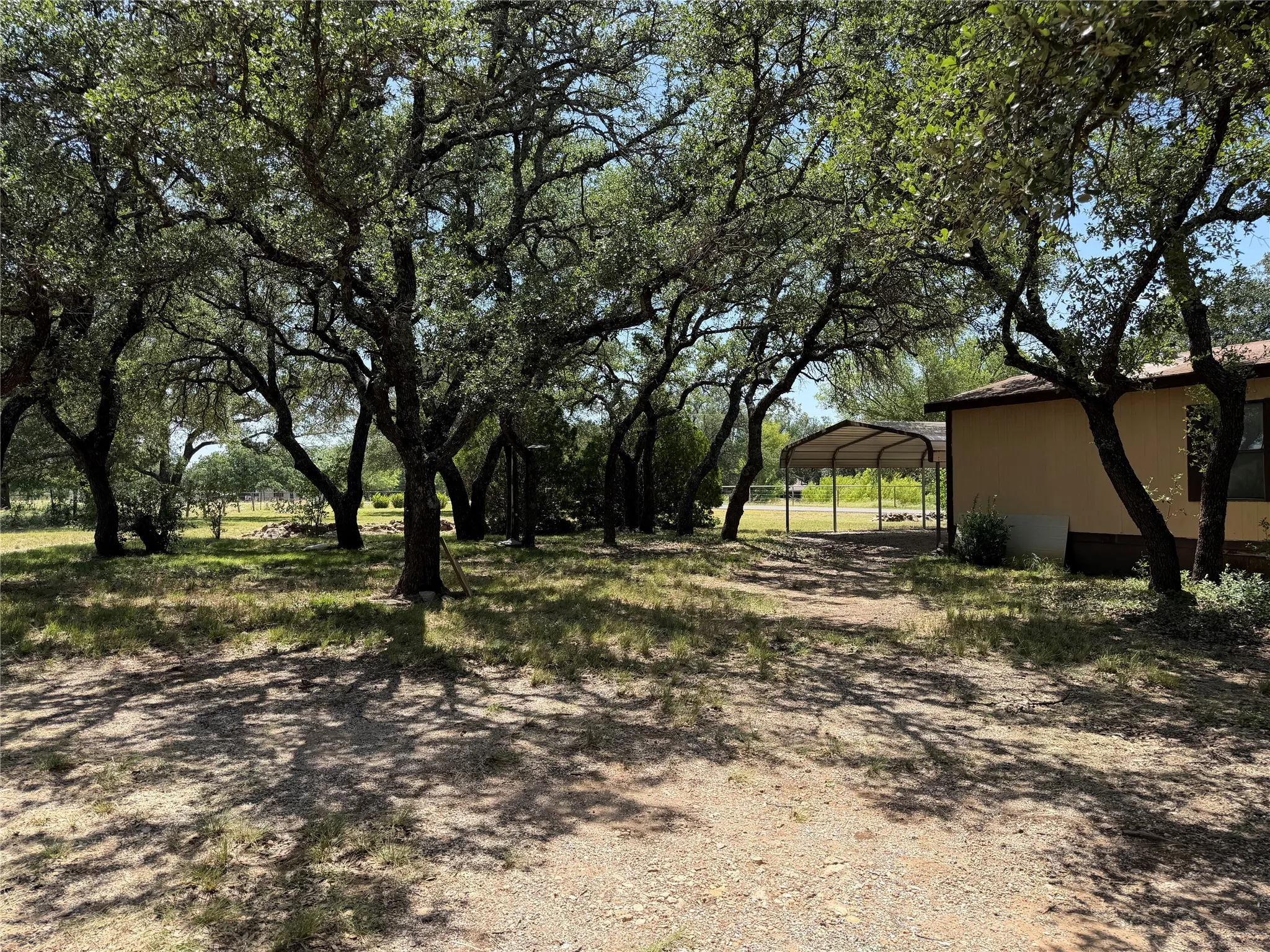 Expansive treed lot featuring a gravel driveway, a beige-sided structure with brown trim, and a metal carport