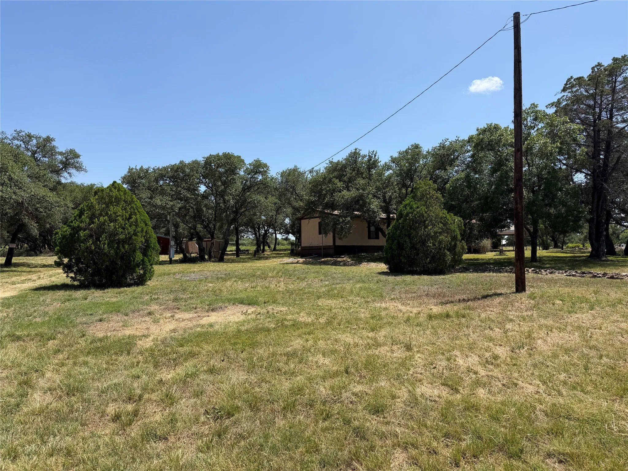 Expansive open field with scattered evergreen trees and mature oak trees