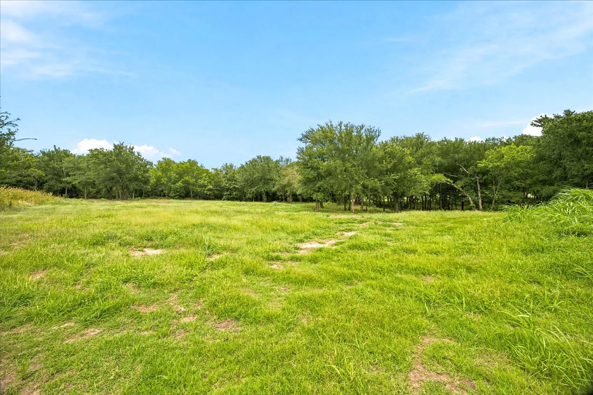 Unimproved Land For Sale in Hunt County , 4054 Weeping Oak, Royse City, Texas 75189, 0, 0, Garage spaces, 0 Sqft, built in 0, mls#21317681, Real Estate Agent in Royse City, Homes For Sale in Hunt county, Homes For Sale in Royse City, Realtor in Royse City Texas, Real Estate Brokerage Independent Realty Texas, Luminita Cordes Realtor