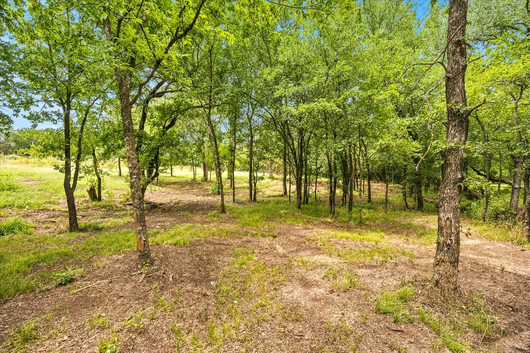 Unimproved Land For Sale in Hunt County , 4054 Weeping Oak, Royse City, Texas 75189, 0, 0, Garage spaces, 0 Sqft, built in 0, mls#21317681, Real Estate Agent in Royse City, Homes For Sale in Hunt county, Homes For Sale in Royse City, Realtor in Royse City Texas, Real Estate Brokerage Independent Realty Texas, Luminita Cordes Realtor