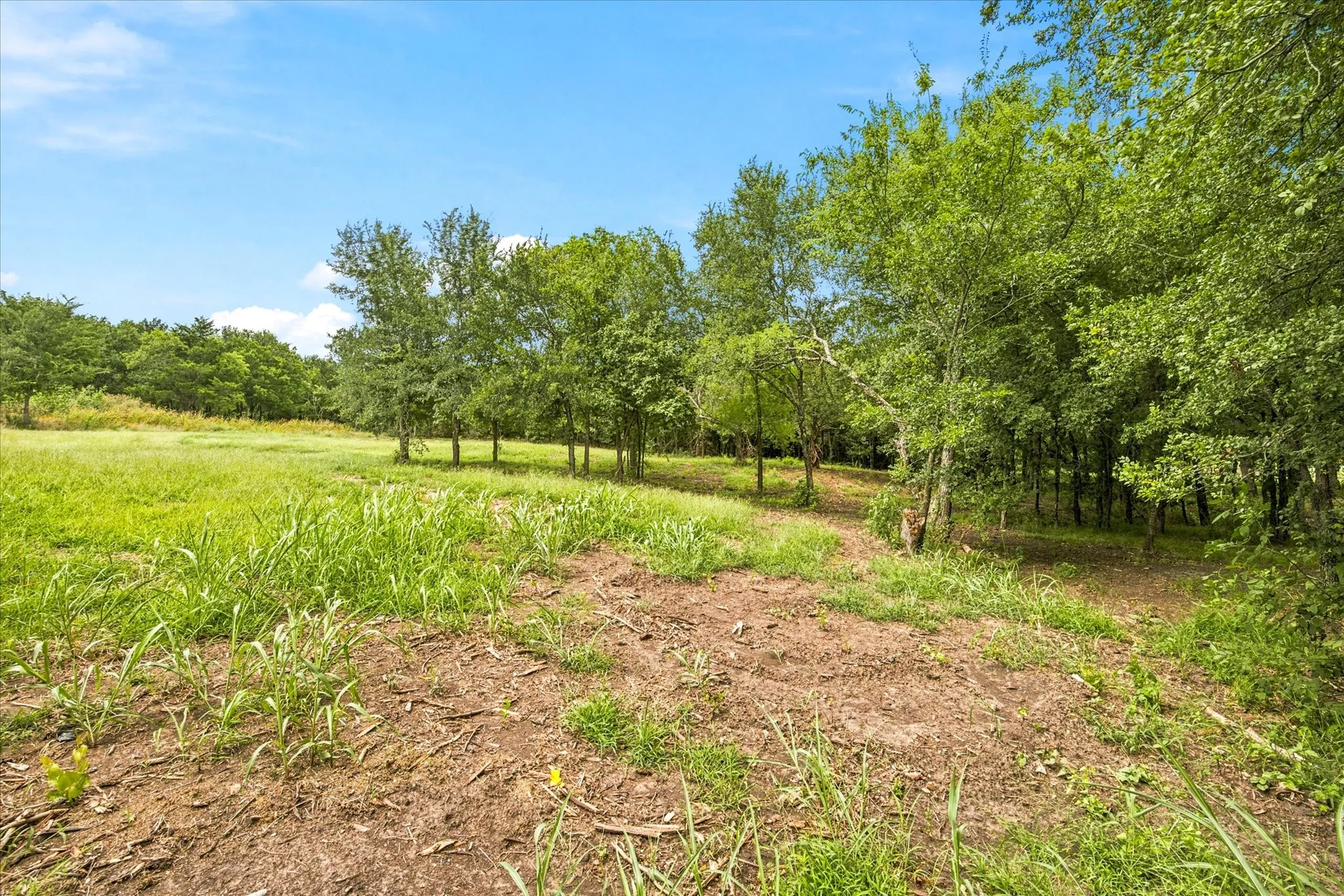 Unimproved Land For Sale in Hunt County , 4054 Weeping Oak, Royse City, Texas 75189, 0, 0, Garage spaces, 0 Sqft, built in 0, mls#21317681, Real Estate Agent in Royse City, Homes For Sale in Hunt county, Homes For Sale in Royse City, Realtor in Royse City Texas, Real Estate Brokerage Independent Realty Texas, Luminita Cordes Realtor