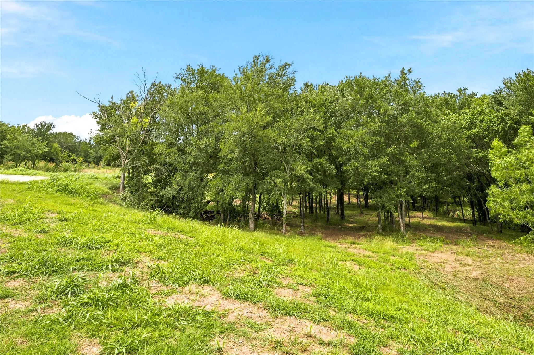 Unimproved Land For Sale in Hunt County , 4054 Weeping Oak, Royse City, Texas 75189, 0, 0, Garage spaces, 0 Sqft, built in 0, mls#21317681, Real Estate Agent in Royse City, Homes For Sale in Hunt county, Homes For Sale in Royse City, Realtor in Royse City Texas, Real Estate Brokerage Independent Realty Texas, Luminita Cordes Realtor