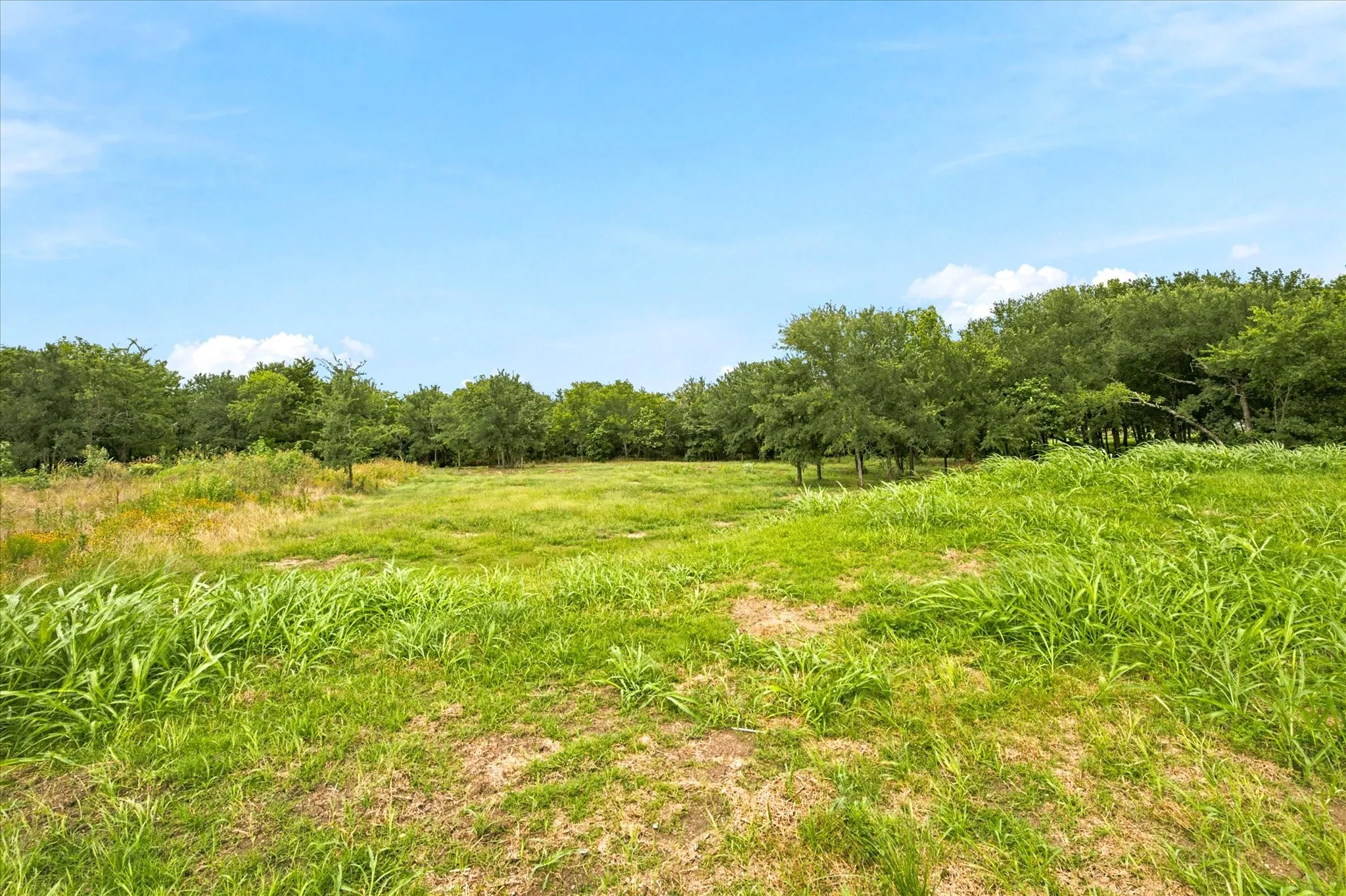 Unimproved Land For Sale in Hunt County , 4054 Weeping Oak, Royse City, Texas 75189, 0, 0, Garage spaces, 0 Sqft, built in 0, mls#21317681, Real Estate Agent in Royse City, Homes For Sale in Hunt county, Homes For Sale in Royse City, Realtor in Royse City Texas, Real Estate Brokerage Independent Realty Texas, Luminita Cordes Realtor