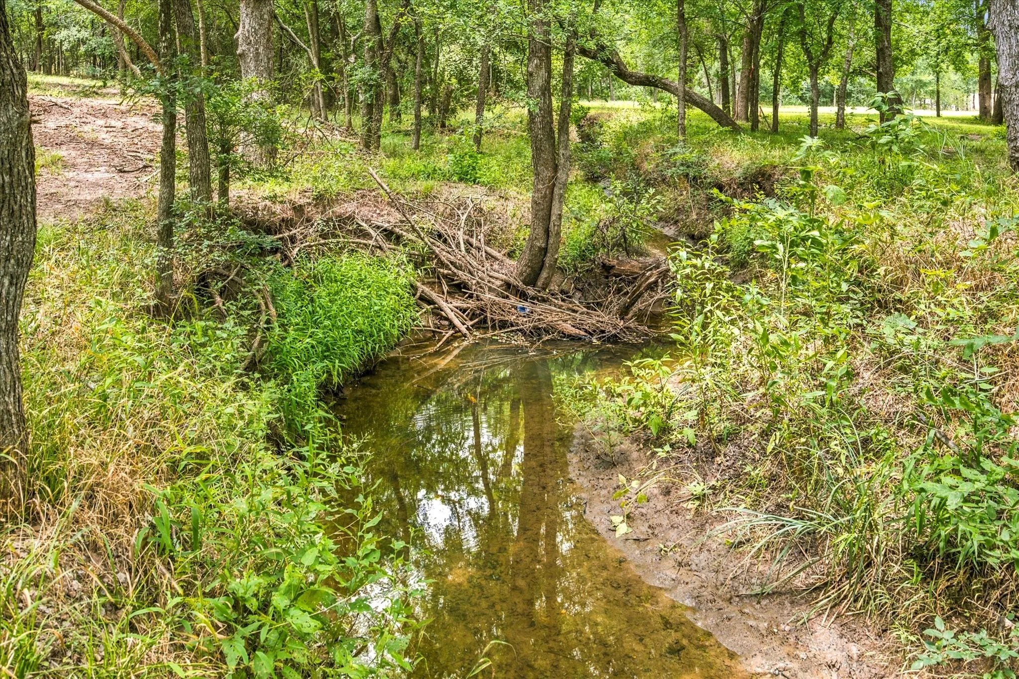 Unimproved Land For Sale in Hunt County , 4054 Weeping Oak, Royse City, Texas 75189, 0, 0, Garage spaces, 0 Sqft, built in 0, mls#21317681, Real Estate Agent in Royse City, Homes For Sale in Hunt county, Homes For Sale in Royse City, Realtor in Royse City Texas, Real Estate Brokerage Independent Realty Texas, Luminita Cordes Realtor