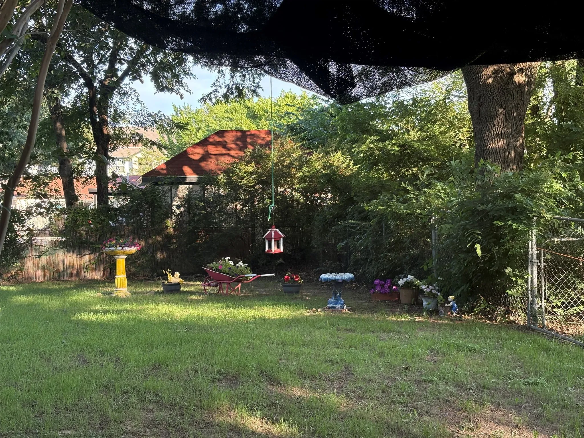 Back yard