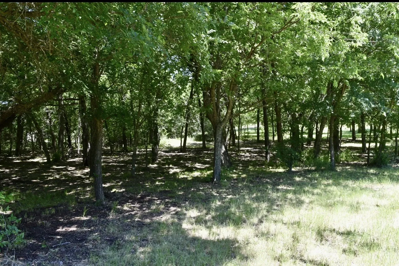 Unimproved Land For Sale in Dallas County , 2955 Muirfield, Grand Prairie, Texas 75104, 0, 0, Garage spaces, 0 Sqft, built in 0, mls#21317724, Real Estate Agent in Grand Prairie, Homes For Sale in Dallas county, Homes For Sale in Grand Prairie, Realtor in Grand Prairie Texas, Real Estate Brokerage Independent Realty Texas, Luminita Cordes Realtor