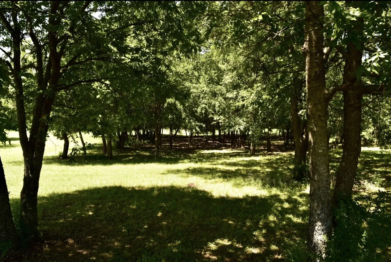 Unimproved Land For Sale in Dallas County , 2955 Muirfield, Grand Prairie, Texas 75104, 0, 0, Garage spaces, 0 Sqft, built in 0, mls#21317724, Real Estate Agent in Grand Prairie, Homes For Sale in Dallas county, Homes For Sale in Grand Prairie, Realtor in Grand Prairie Texas, Real Estate Brokerage Independent Realty Texas, Luminita Cordes Realtor