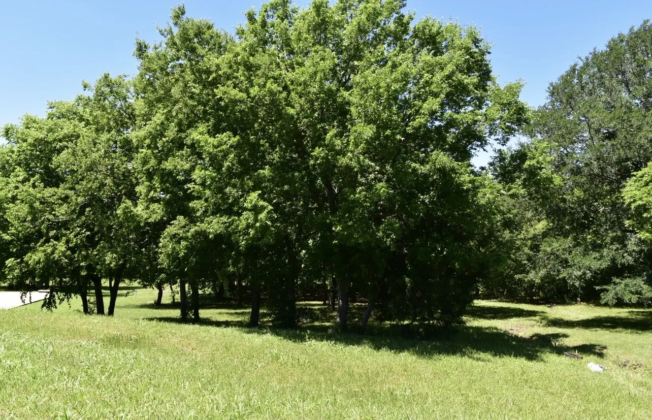 Unimproved Land For Sale in Dallas County , 2955 Muirfield, Grand Prairie, Texas 75104, 0, 0, Garage spaces, 0 Sqft, built in 0, mls#21317724, Real Estate Agent in Grand Prairie, Homes For Sale in Dallas county, Homes For Sale in Grand Prairie, Realtor in Grand Prairie Texas, Real Estate Brokerage Independent Realty Texas, Luminita Cordes Realtor