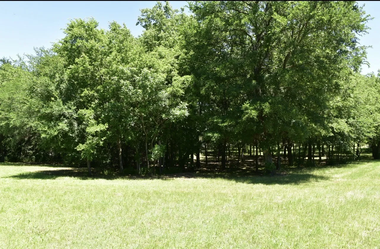 Unimproved Land For Sale in Dallas County , 2955 Muirfield, Grand Prairie, Texas 75104, 0, 0, Garage spaces, 0 Sqft, built in 0, mls#21317724, Real Estate Agent in Grand Prairie, Homes For Sale in Dallas county, Homes For Sale in Grand Prairie, Realtor in Grand Prairie Texas, Real Estate Brokerage Independent Realty Texas, Luminita Cordes Realtor