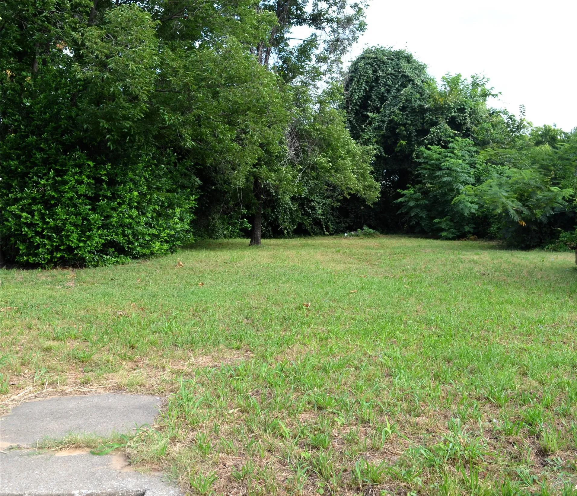 Unimproved Land For Sale in Dallas County , 2539 Pine Street, Dallas, Texas 75215, 0, 0, Garage spaces, 0 Sqft, built in 0, mls#21316675, Real Estate Agent in Dallas, Homes For Sale in Dallas county, Homes For Sale in Dallas, Realtor in Dallas Texas, Real Estate Brokerage Independent Realty Texas, Luminita Cordes Realtor