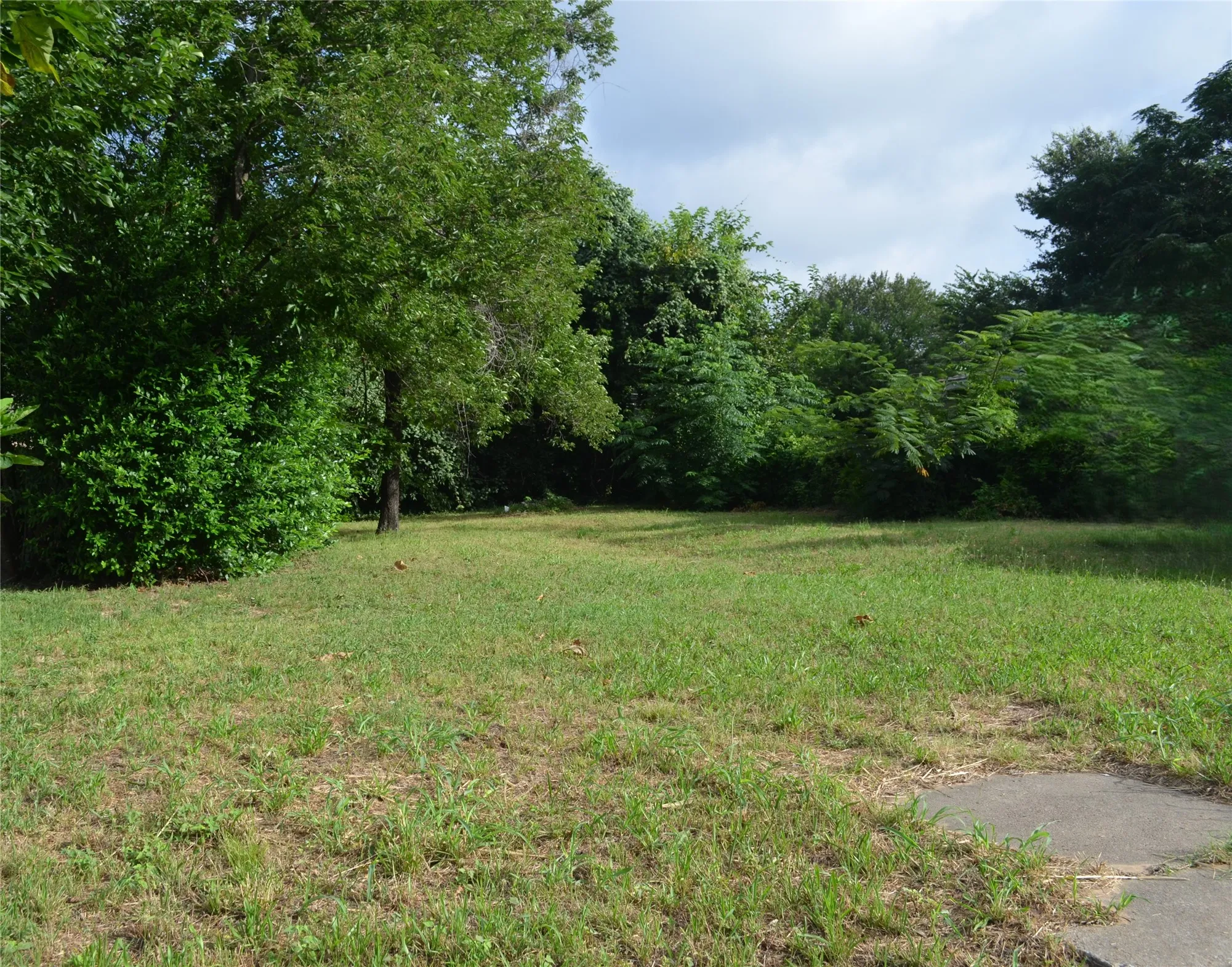 Unimproved Land For Sale in Dallas County , 2539 Pine Street, Dallas, Texas 75215, 0, 0, Garage spaces, 0 Sqft, built in 0, mls#21316675, Real Estate Agent in Dallas, Homes For Sale in Dallas county, Homes For Sale in Dallas, Realtor in Dallas Texas, Real Estate Brokerage Independent Realty Texas, Luminita Cordes Realtor