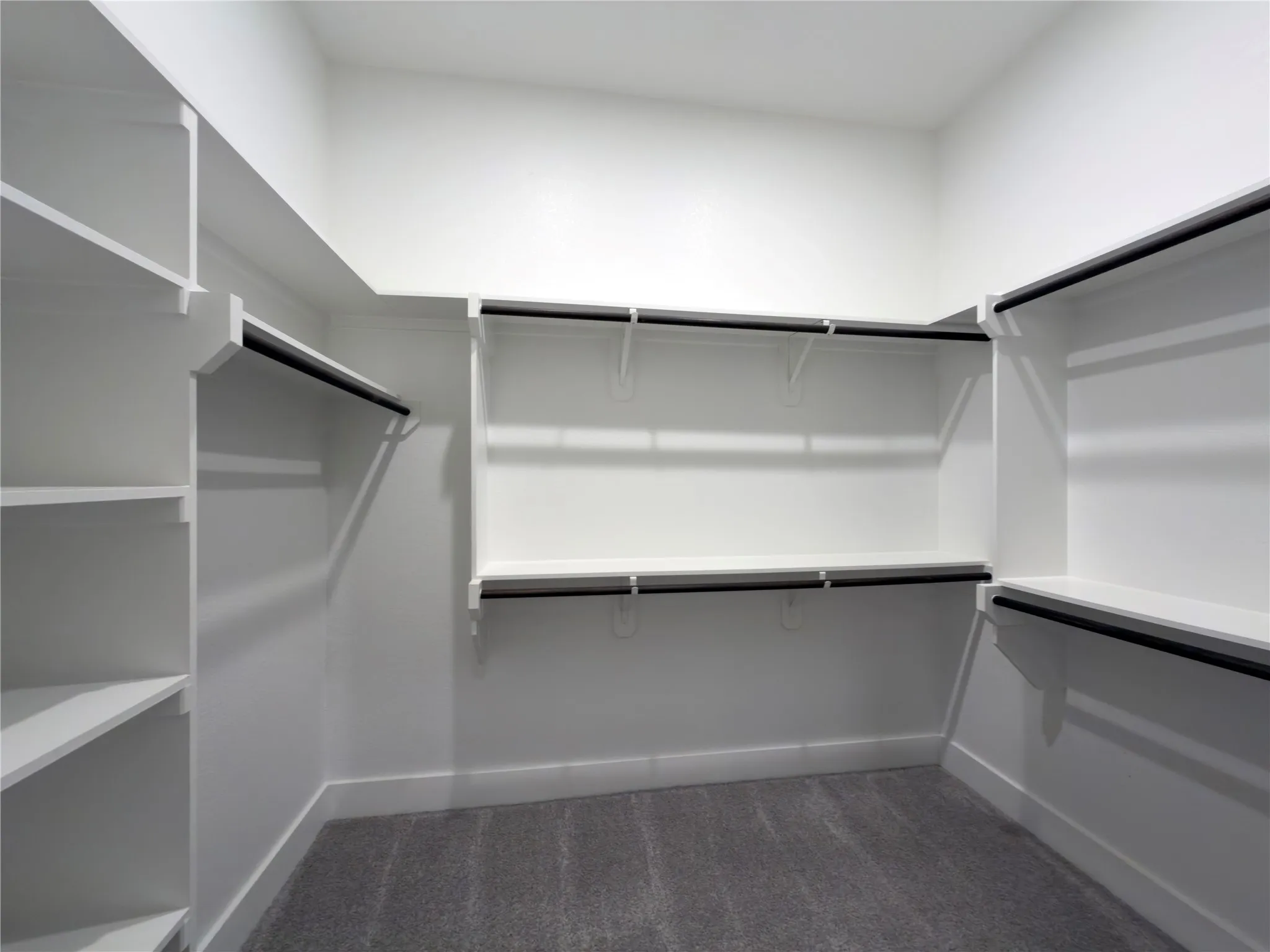 Walk-in closet featuring built-in white shelving, multiple hanging rods, white baseboards, and grey carpeting