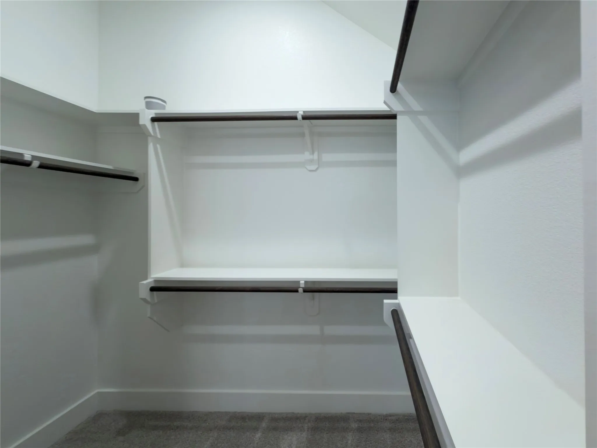 Walk-in closet with white shelving and dark-finish hanging rods, featuring textured white walls and gray carpet flooring