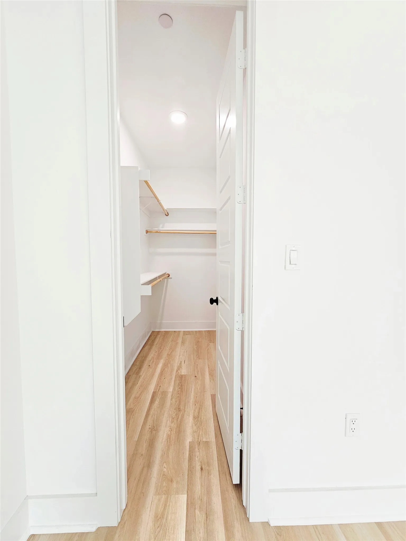 Spacious closet with light wood-style flooring