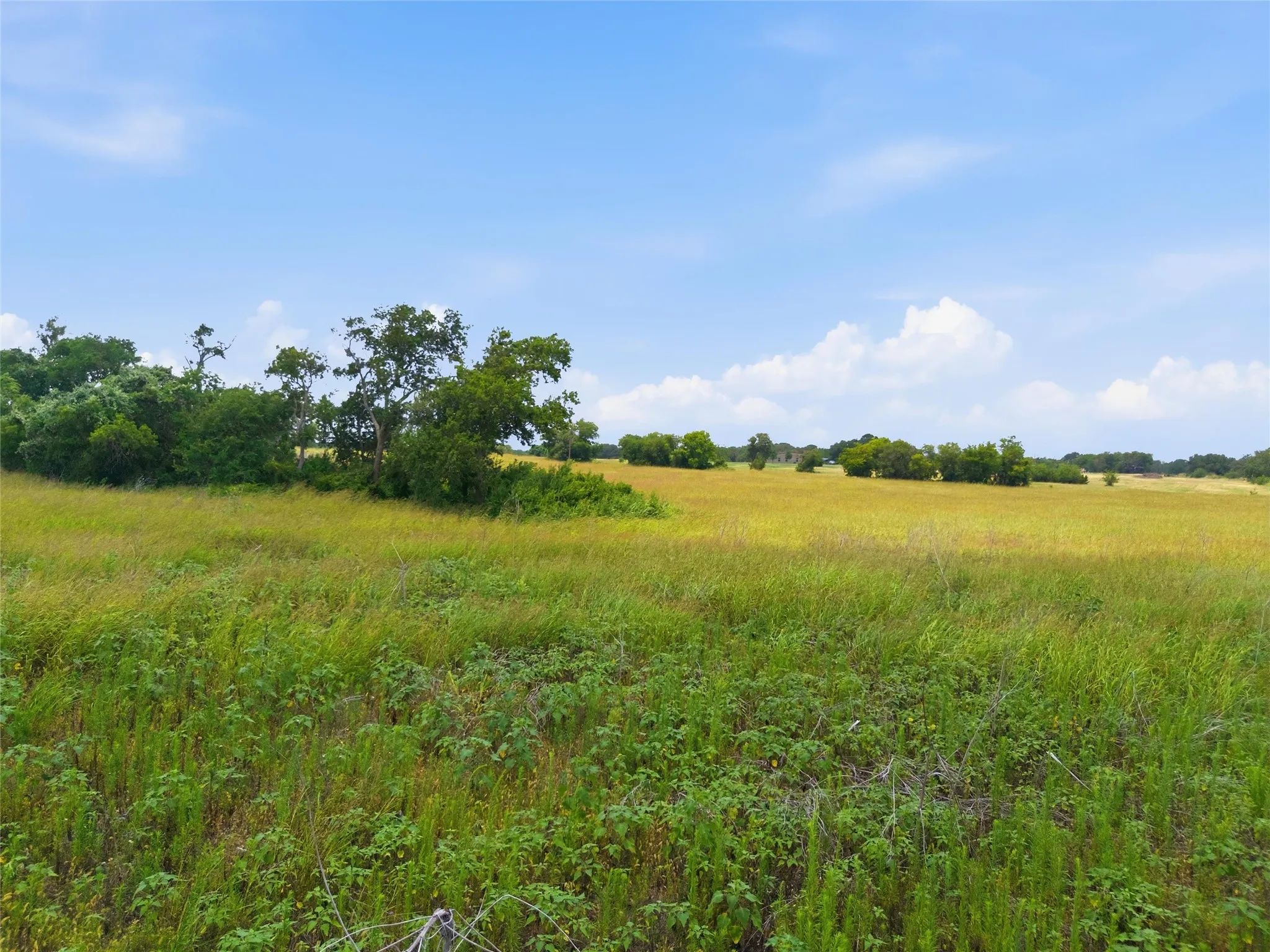 Unimproved Land For Sale in Coryell County , 215 County Road 225, Valley Mills, Texas 76689, 0, 0, Garage spaces, 0 Sqft, built in 0, mls#21311158, Real Estate Agent in Valley Mills, Homes For Sale in Coryell county, Homes For Sale in Valley Mills, Realtor in Valley Mills Texas, Real Estate Brokerage Independent Realty Texas, Luminita Cordes Realtor