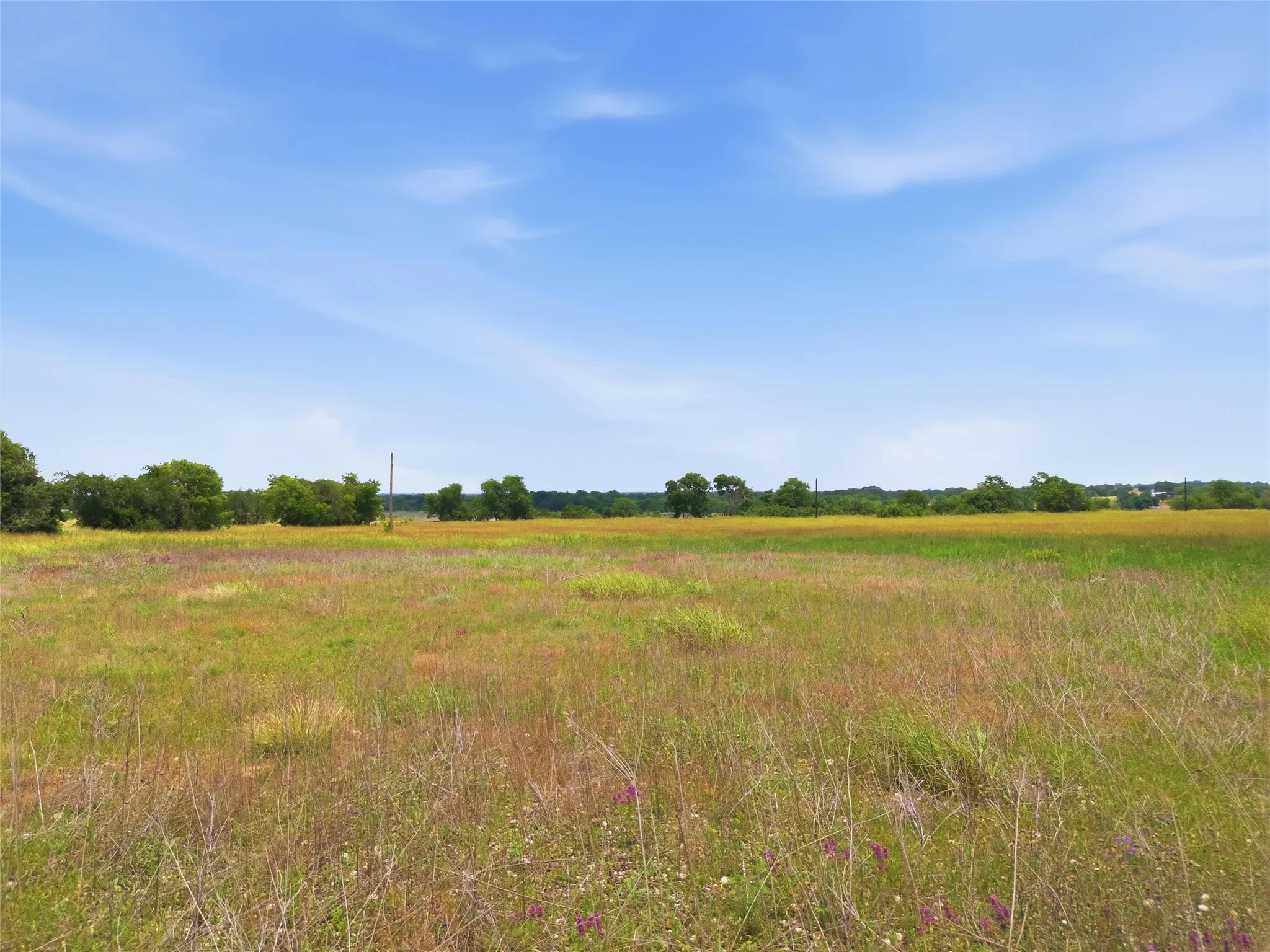 Unimproved Land For Sale in Coryell County , 215 County Road 225, Valley Mills, Texas 76689, 0, 0, Garage spaces, 0 Sqft, built in 0, mls#21311158, Real Estate Agent in Valley Mills, Homes For Sale in Coryell county, Homes For Sale in Valley Mills, Realtor in Valley Mills Texas, Real Estate Brokerage Independent Realty Texas, Luminita Cordes Realtor