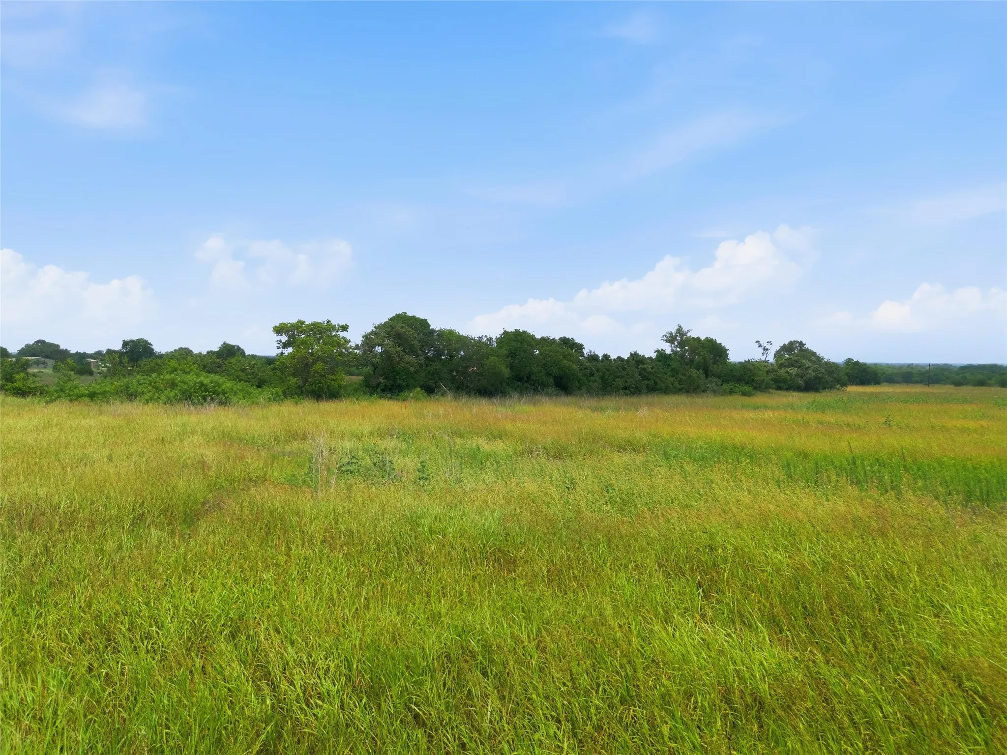 Unimproved Land For Sale in Coryell County , 215 County Road 225, Valley Mills, Texas 76689, 0, 0, Garage spaces, 0 Sqft, built in 0, mls#21311158, Real Estate Agent in Valley Mills, Homes For Sale in Coryell county, Homes For Sale in Valley Mills, Realtor in Valley Mills Texas, Real Estate Brokerage Independent Realty Texas, Luminita Cordes Realtor