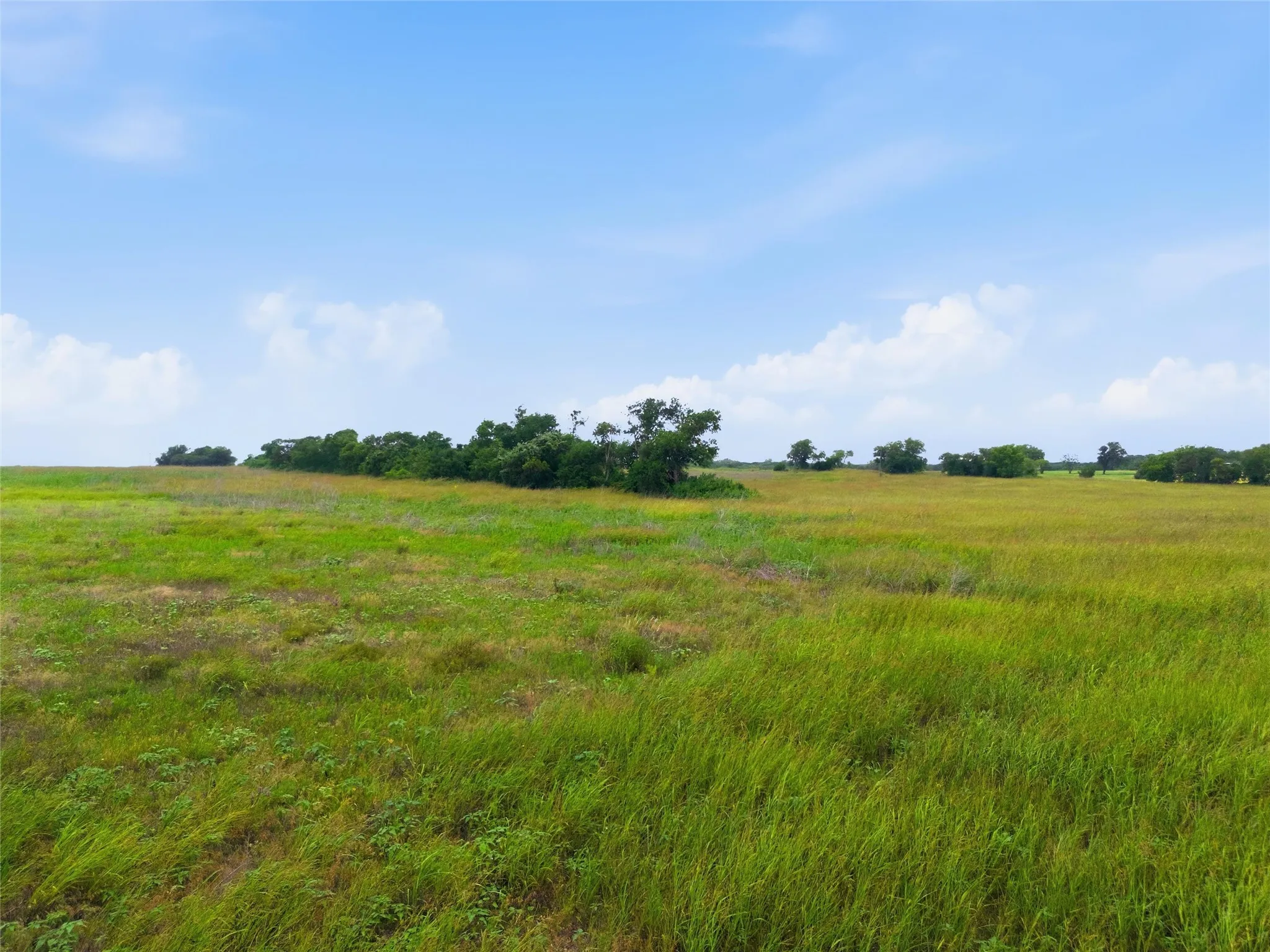 Unimproved Land For Sale in Coryell County , 215 County Road 225, Valley Mills, Texas 76689, 0, 0, Garage spaces, 0 Sqft, built in 0, mls#21311158, Real Estate Agent in Valley Mills, Homes For Sale in Coryell county, Homes For Sale in Valley Mills, Realtor in Valley Mills Texas, Real Estate Brokerage Independent Realty Texas, Luminita Cordes Realtor