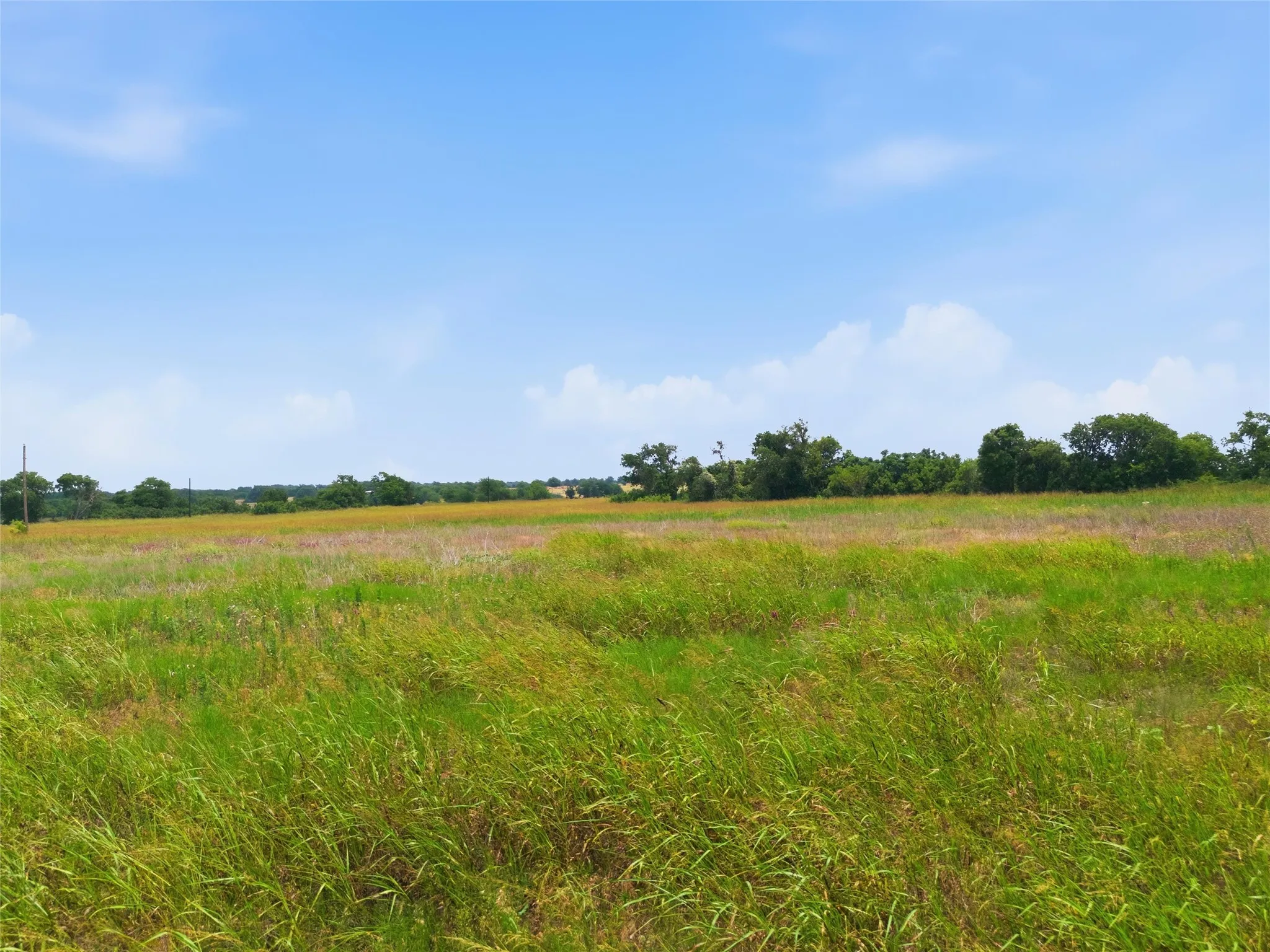Unimproved Land For Sale in Coryell County , 215 County Road 225, Valley Mills, Texas 76689, 0, 0, Garage spaces, 0 Sqft, built in 0, mls#21311158, Real Estate Agent in Valley Mills, Homes For Sale in Coryell county, Homes For Sale in Valley Mills, Realtor in Valley Mills Texas, Real Estate Brokerage Independent Realty Texas, Luminita Cordes Realtor