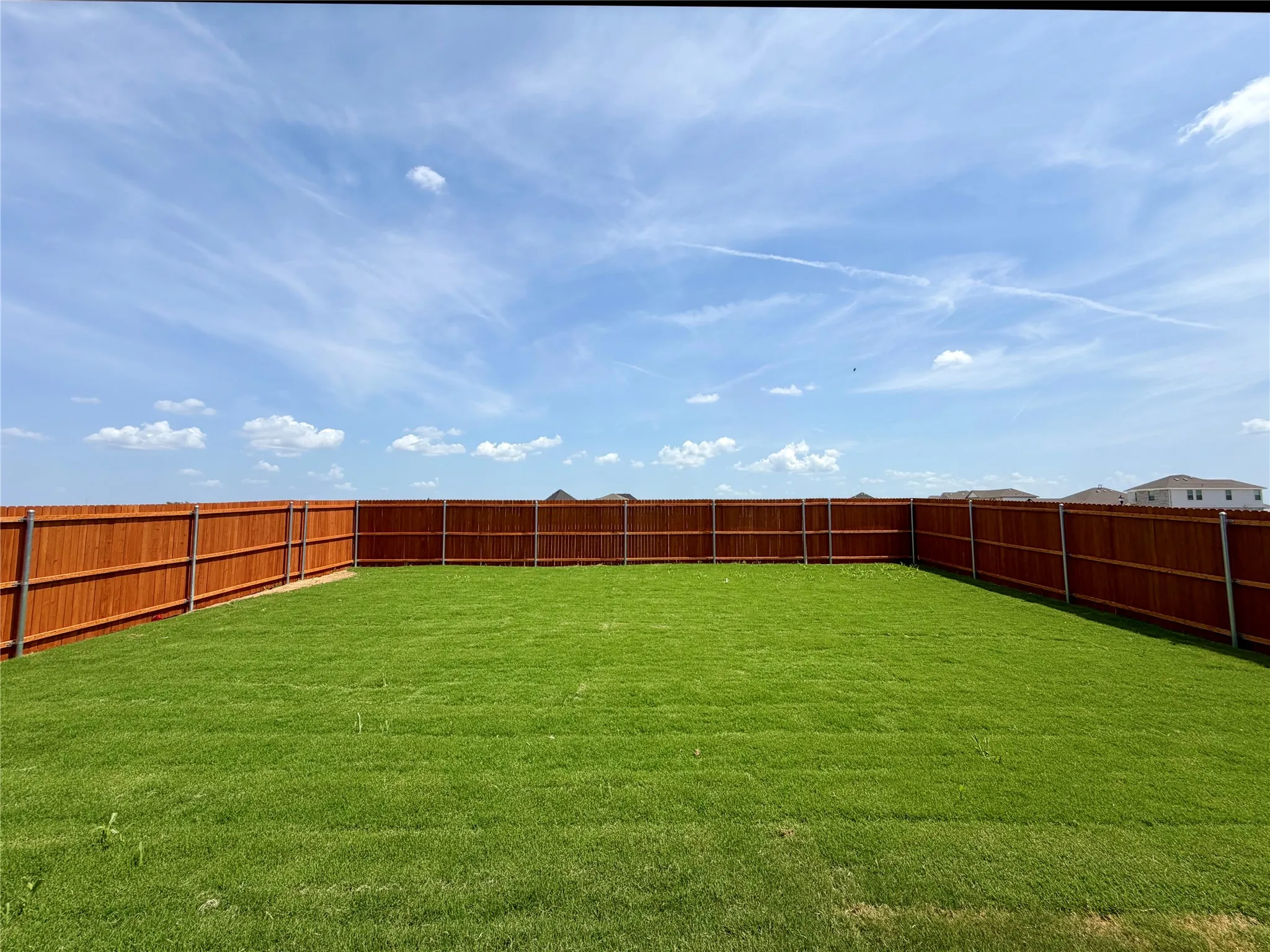 Great back yard