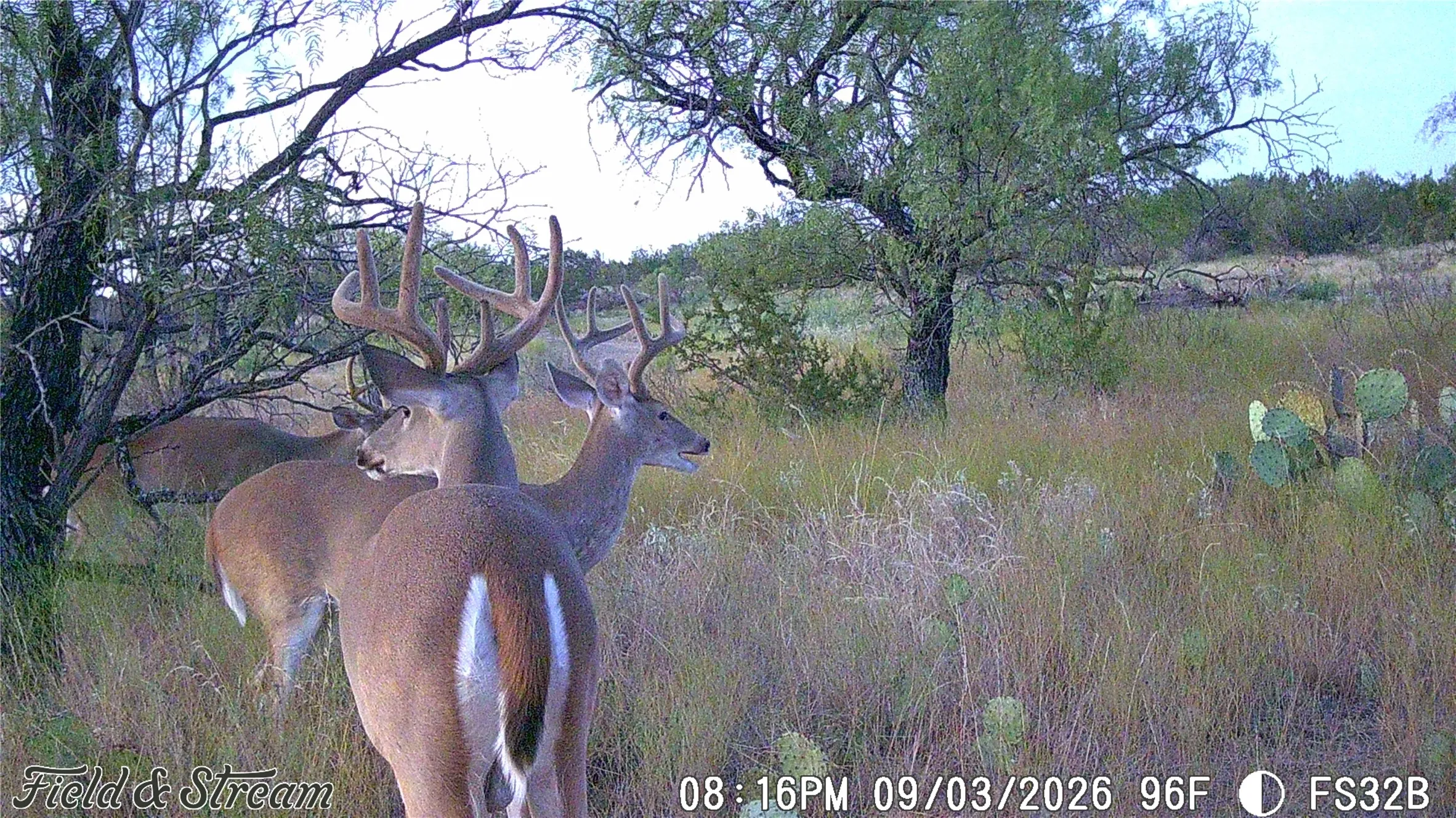 Unimproved Land For Sale in Concho County , 1234 RR11 RECREATIONAL ROAD 11, Millersview, Texas 76862, 0, 0, Garage spaces, 0 Sqft, built in 0, mls#21317813, Real Estate Agent in Millersview, Homes For Sale in Concho county, Homes For Sale in Millersview, Realtor in Millersview Texas, Real Estate Brokerage Independent Realty Texas, Luminita Cordes Realtor