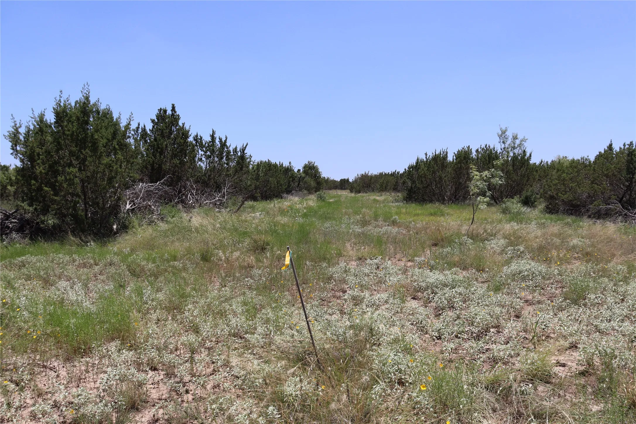 Unimproved Land For Sale in Concho County , 1234 RR11 RECREATIONAL ROAD 11, Millersview, Texas 76862, 0, 0, Garage spaces, 0 Sqft, built in 0, mls#21317813, Real Estate Agent in Millersview, Homes For Sale in Concho county, Homes For Sale in Millersview, Realtor in Millersview Texas, Real Estate Brokerage Independent Realty Texas, Luminita Cordes Realtor