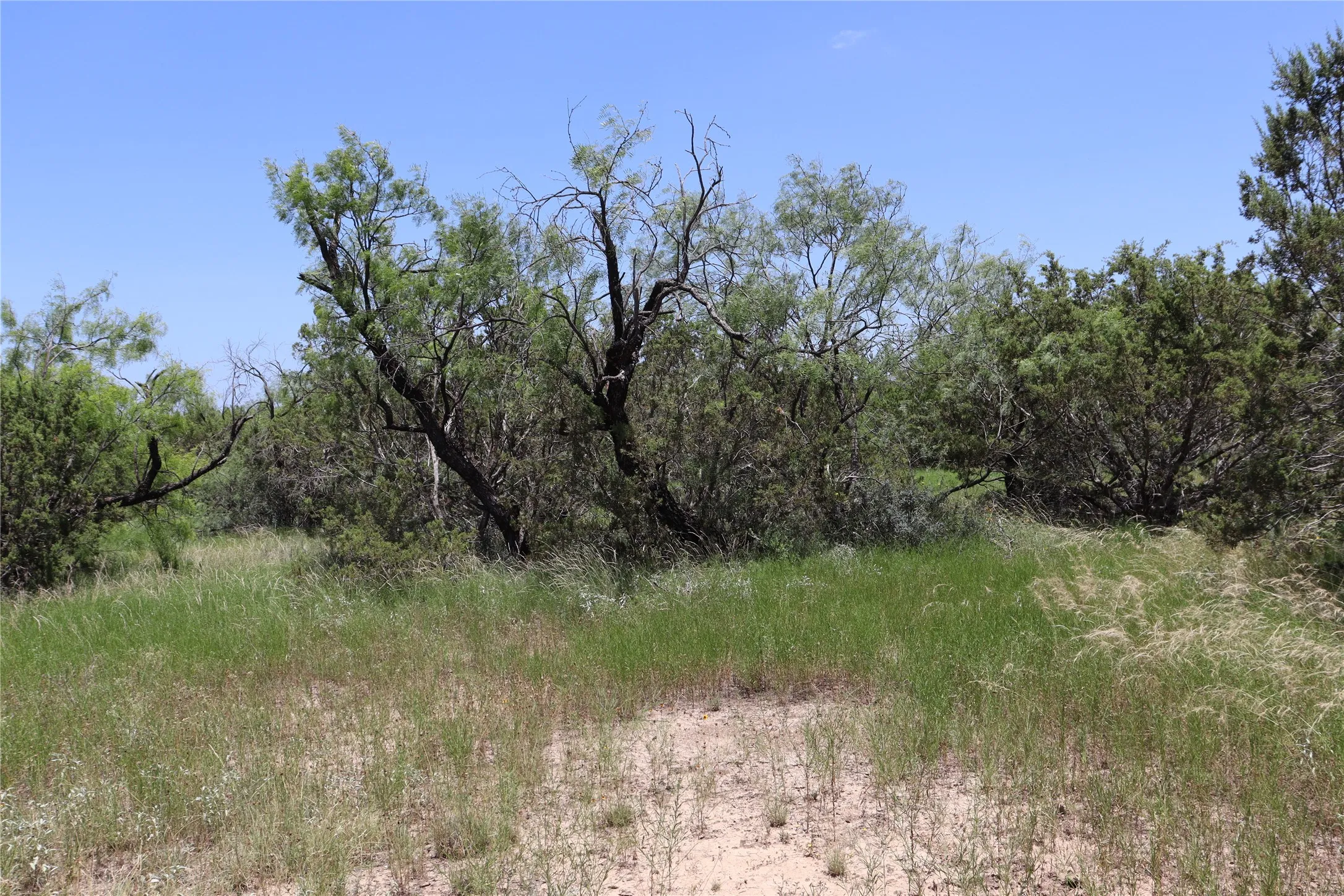 Unimproved Land For Sale in Concho County , 1234 RR11 RECREATIONAL ROAD 11, Millersview, Texas 76862, 0, 0, Garage spaces, 0 Sqft, built in 0, mls#21317813, Real Estate Agent in Millersview, Homes For Sale in Concho county, Homes For Sale in Millersview, Realtor in Millersview Texas, Real Estate Brokerage Independent Realty Texas, Luminita Cordes Realtor