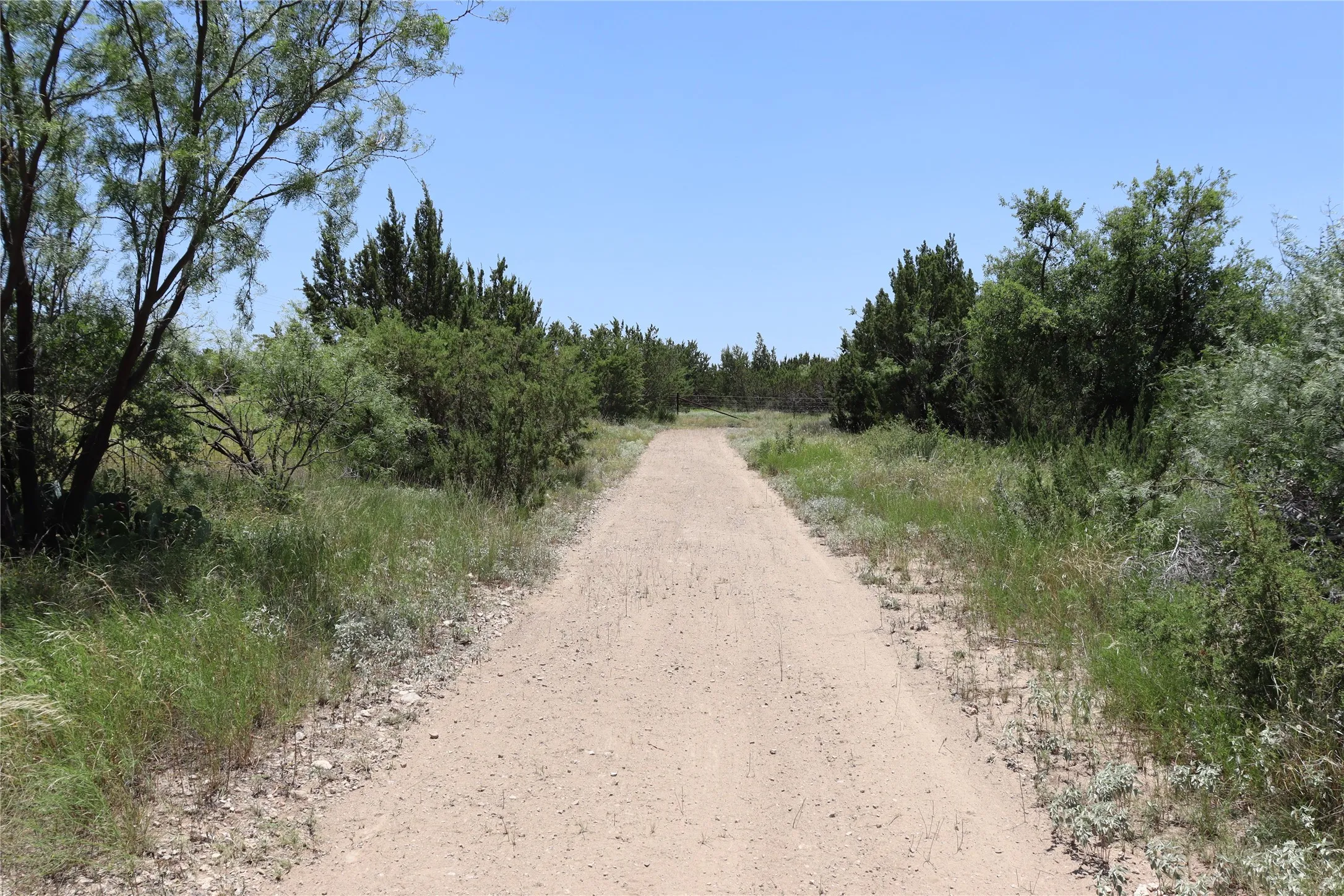 Unimproved Land For Sale in Concho County , 1234 RR11 RECREATIONAL ROAD 11, Millersview, Texas 76862, 0, 0, Garage spaces, 0 Sqft, built in 0, mls#21317813, Real Estate Agent in Millersview, Homes For Sale in Concho county, Homes For Sale in Millersview, Realtor in Millersview Texas, Real Estate Brokerage Independent Realty Texas, Luminita Cordes Realtor