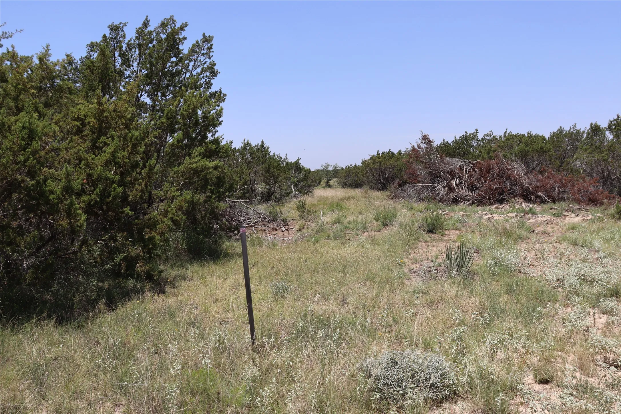 Unimproved Land For Sale in Concho County , 1234 RR11 RECREATIONAL ROAD 11, Millersview, Texas 76862, 0, 0, Garage spaces, 0 Sqft, built in 0, mls#21317813, Real Estate Agent in Millersview, Homes For Sale in Concho county, Homes For Sale in Millersview, Realtor in Millersview Texas, Real Estate Brokerage Independent Realty Texas, Luminita Cordes Realtor