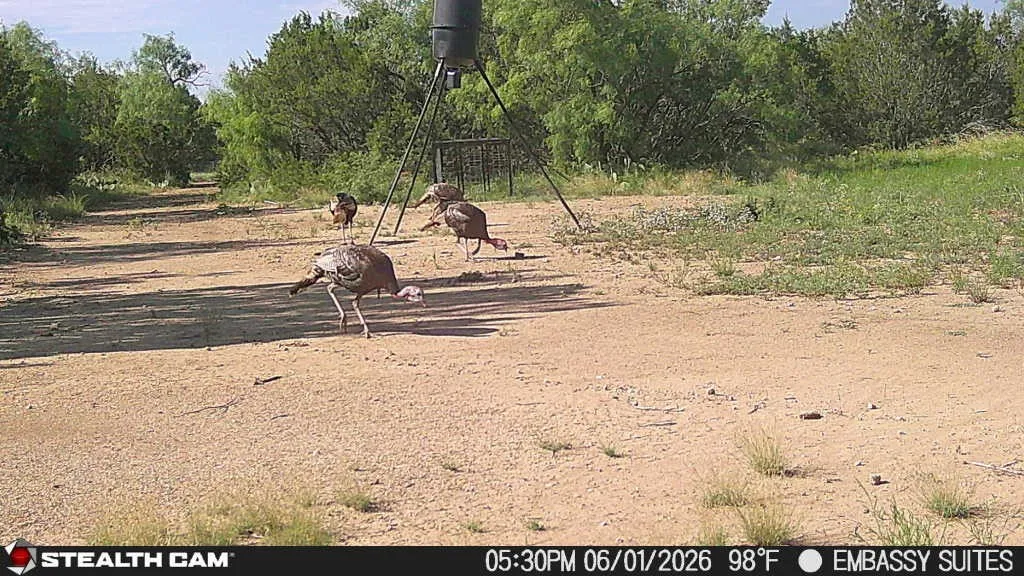 Unimproved Land For Sale in Concho County , 1234 RR11 RECREATIONAL ROAD 11, Millersview, Texas 76862, 0, 0, Garage spaces, 0 Sqft, built in 0, mls#21317813, Real Estate Agent in Millersview, Homes For Sale in Concho county, Homes For Sale in Millersview, Realtor in Millersview Texas, Real Estate Brokerage Independent Realty Texas, Luminita Cordes Realtor