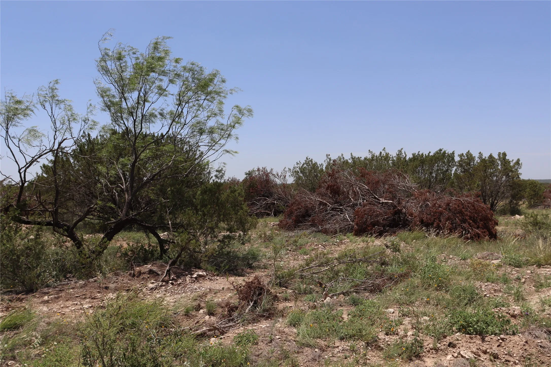Unimproved Land For Sale in Concho County , 1234 RR11 RECREATIONAL ROAD 11, Millersview, Texas 76862, 0, 0, Garage spaces, 0 Sqft, built in 0, mls#21317813, Real Estate Agent in Millersview, Homes For Sale in Concho county, Homes For Sale in Millersview, Realtor in Millersview Texas, Real Estate Brokerage Independent Realty Texas, Luminita Cordes Realtor